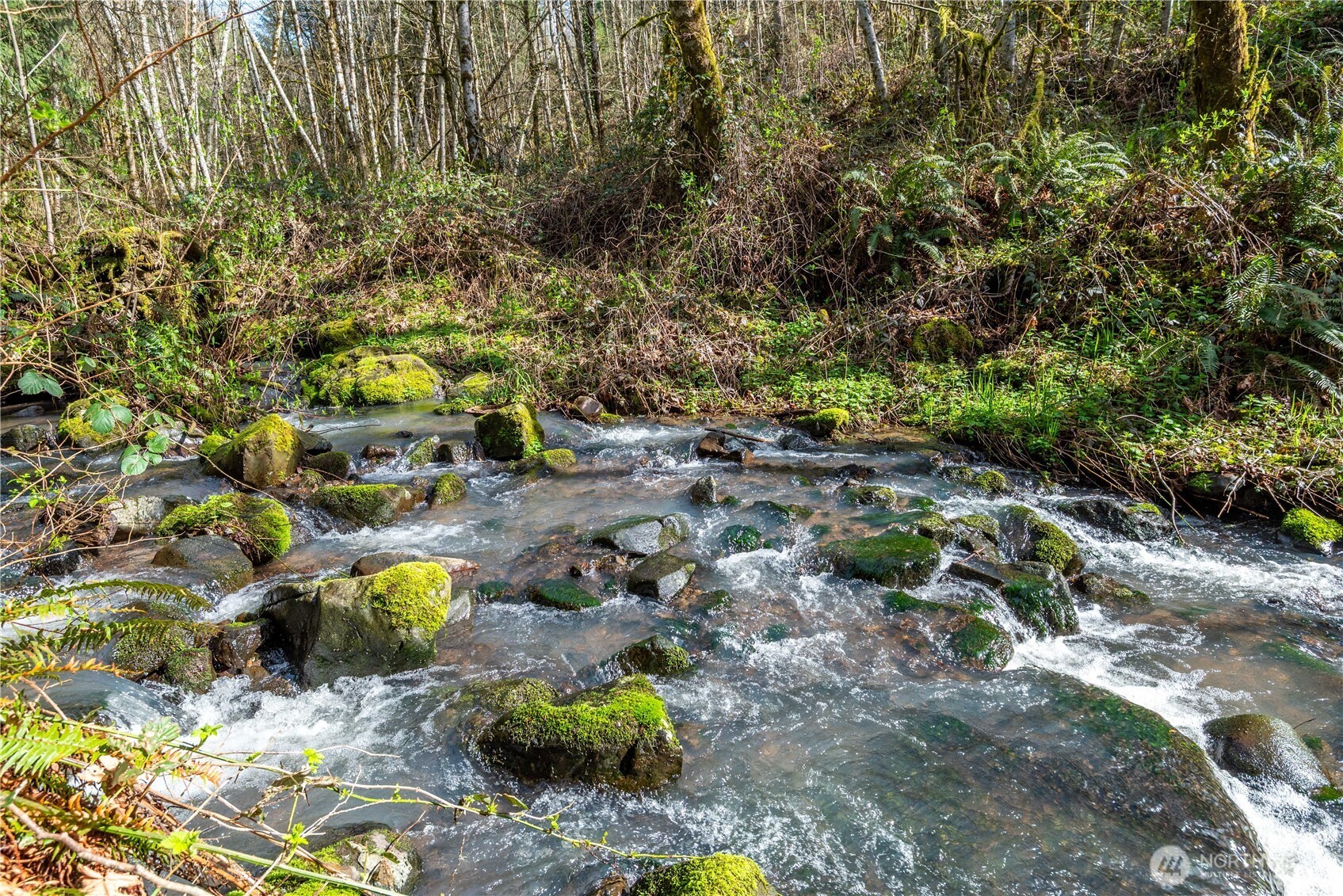 324 Champion Road Kalama, WA 98625 - Photo 11 of 17