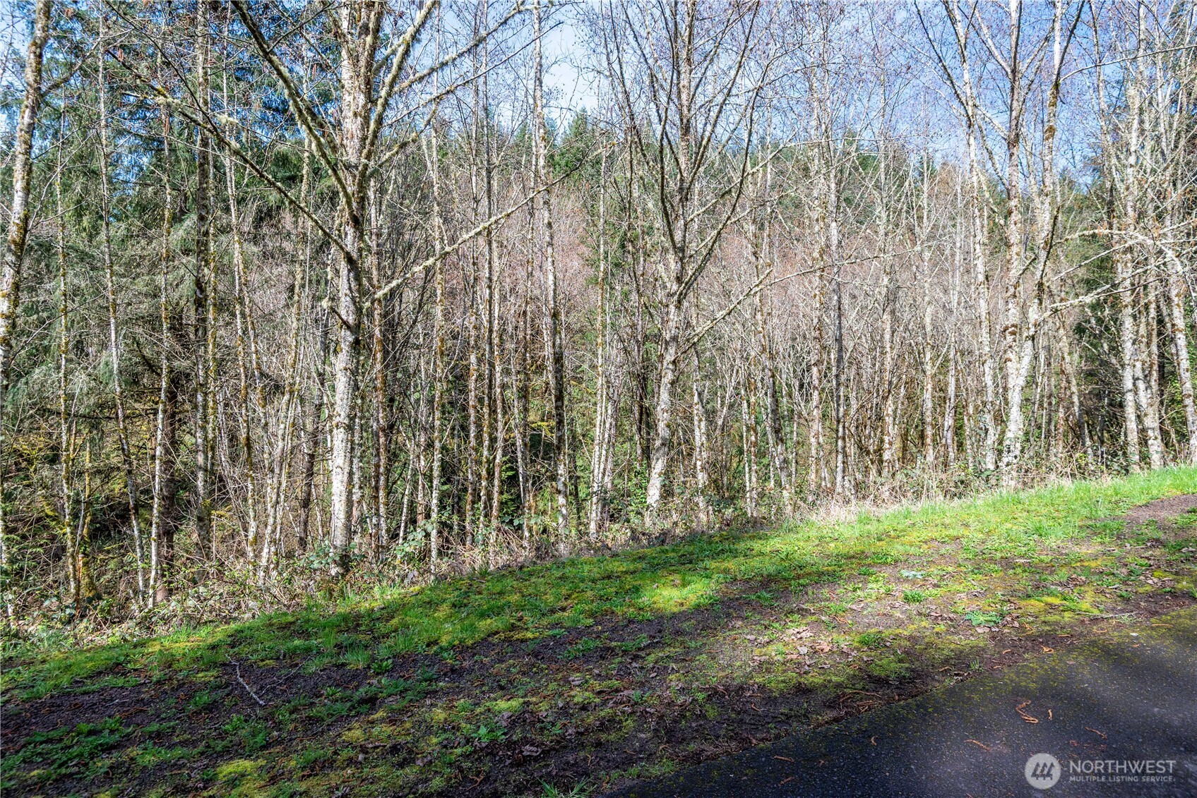 324 Champion Road Kalama, WA 98625 - Photo 12 of 17