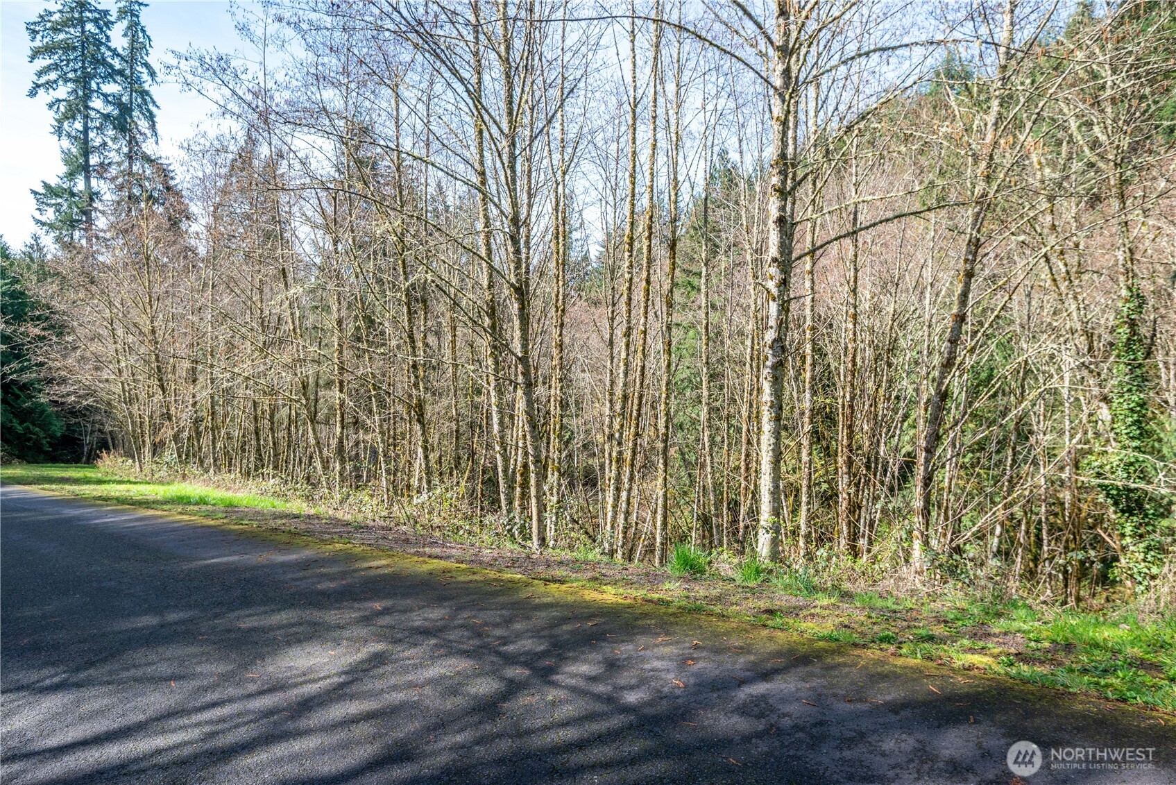 324 Champion Road Kalama, WA 98625 - Photo 13 of 17