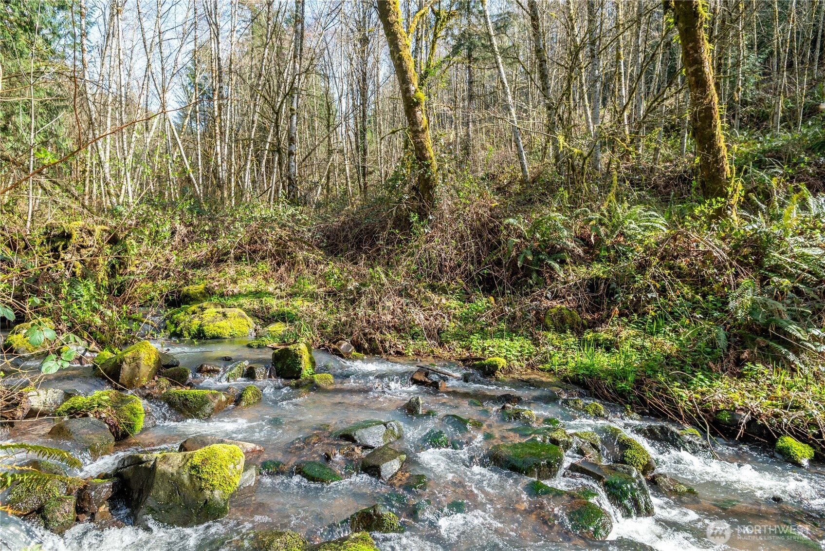 324 Champion Road Kalama, WA 98625 - Photo 3 of 17