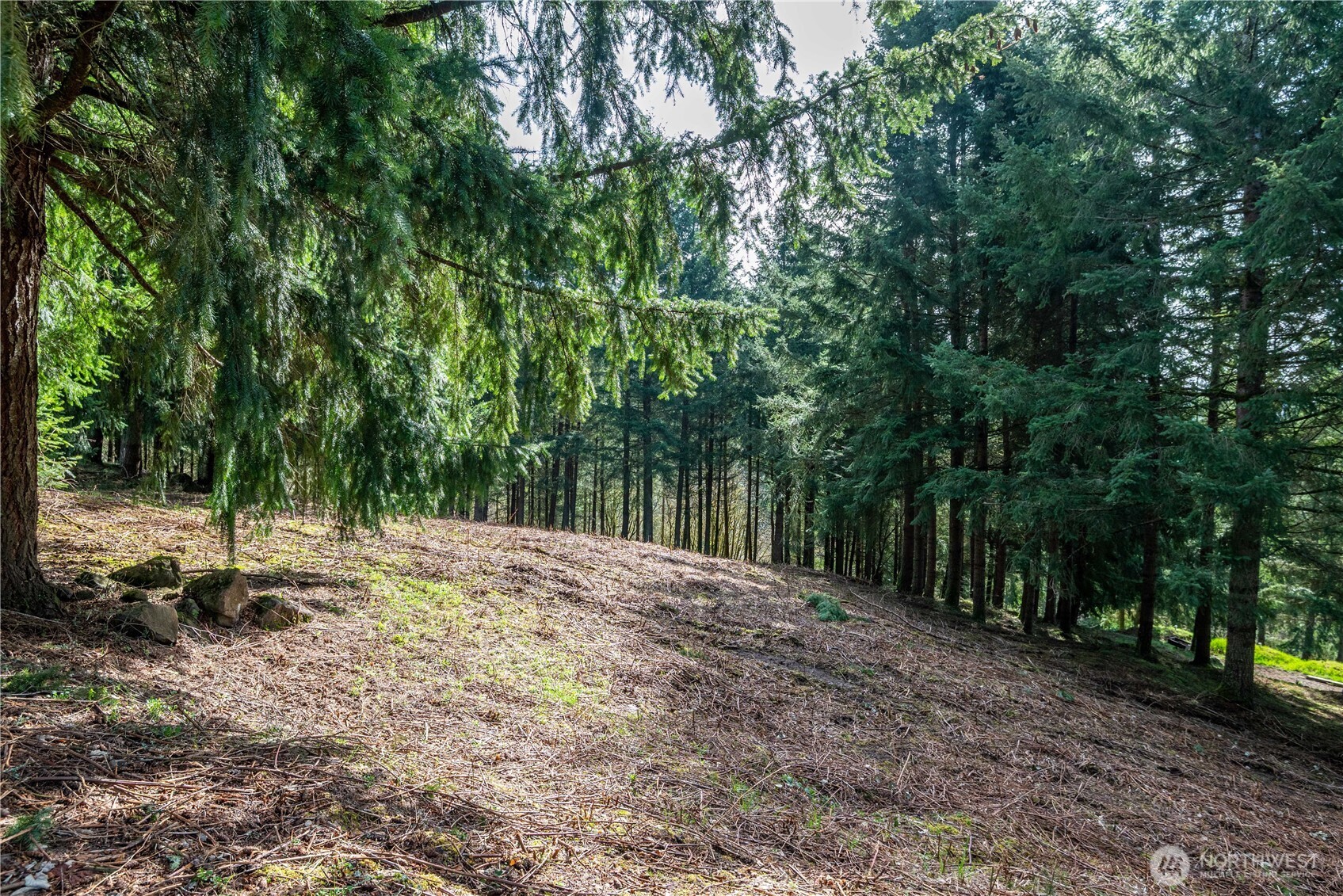 324 Champion Road Kalama, WA 98625 - Photo 5 of 17