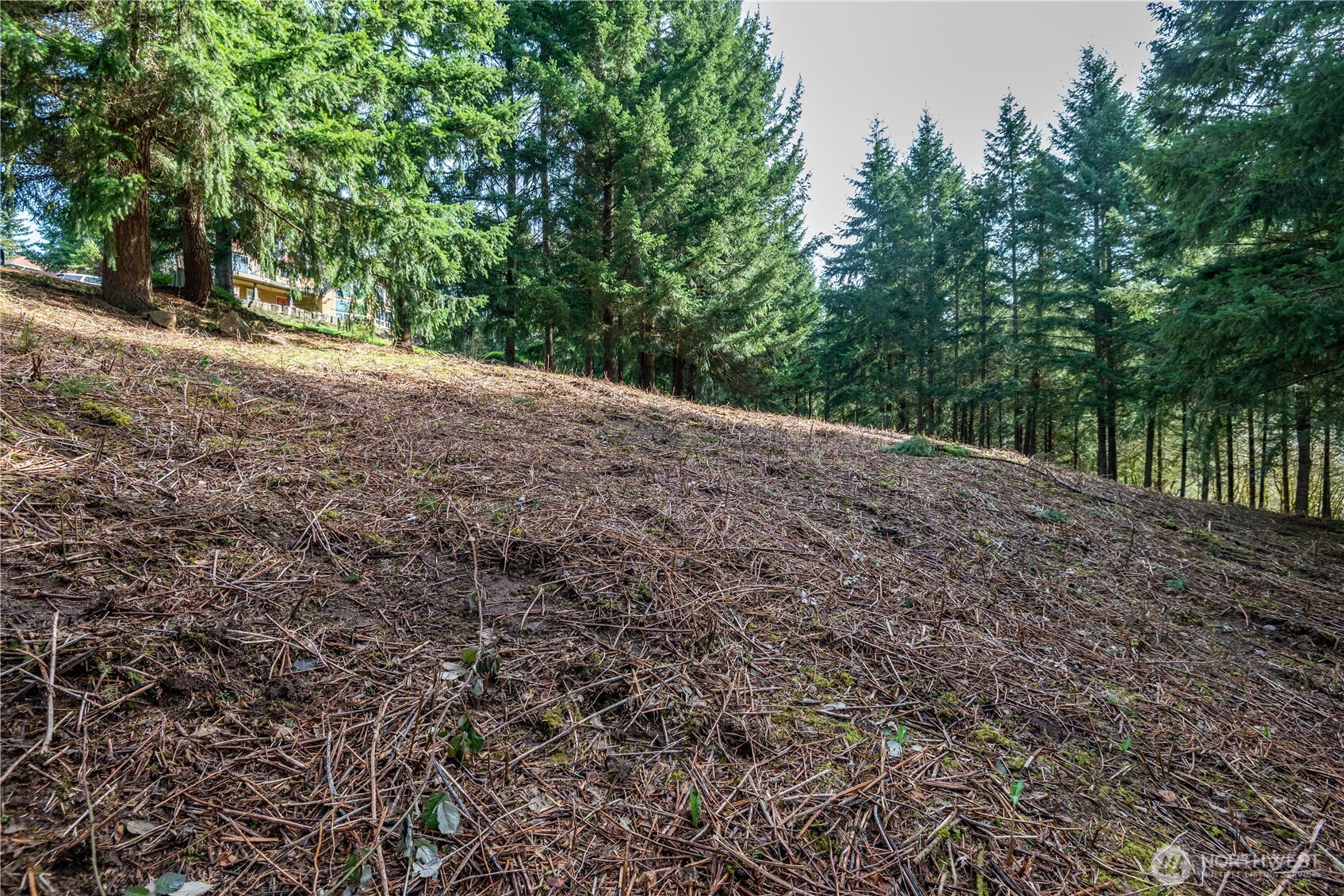 324 Champion Road Kalama, WA 98625 - Photo 6 of 17