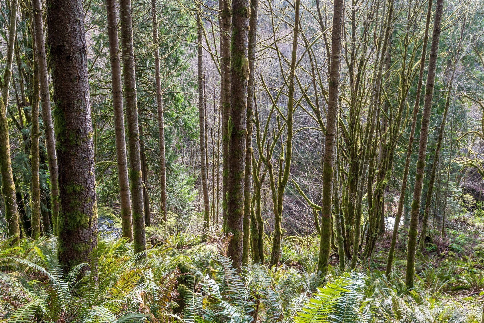 324 Champion Road Kalama, WA 98625 - Photo 8 of 17