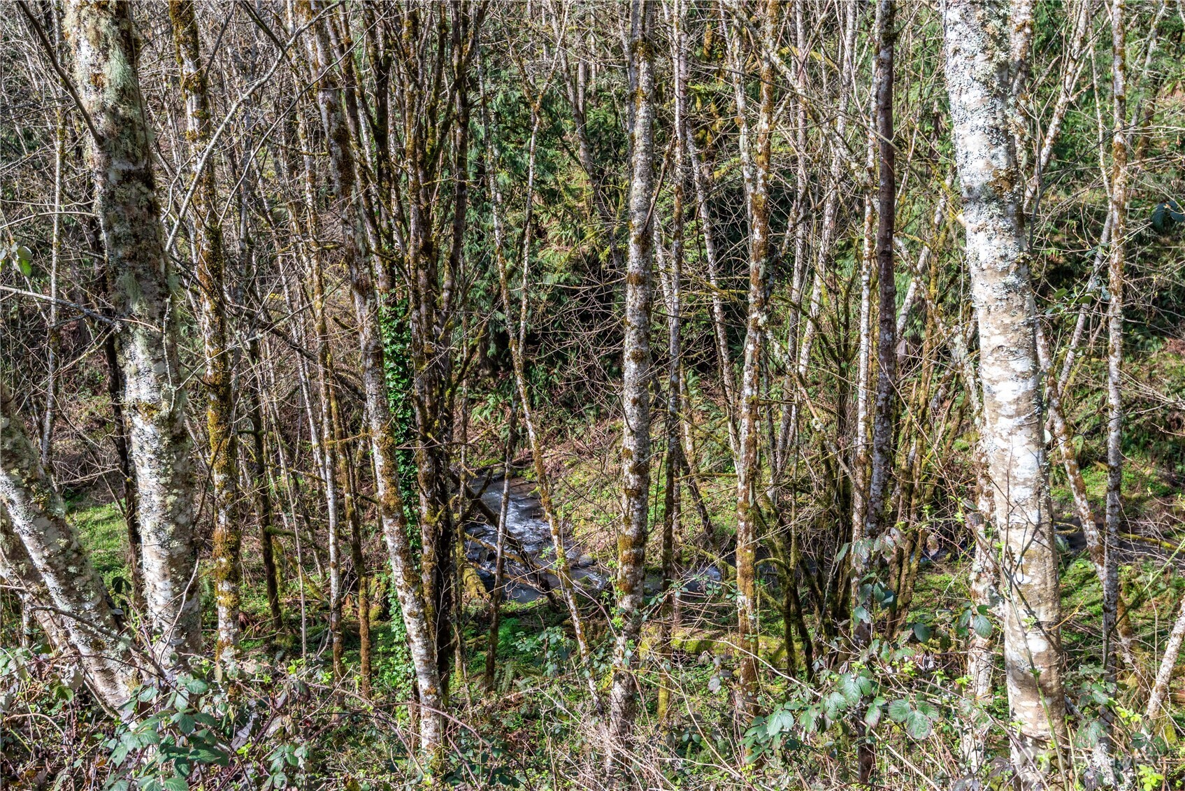 324 Champion Road Kalama, WA 98625 - Photo 9 of 17