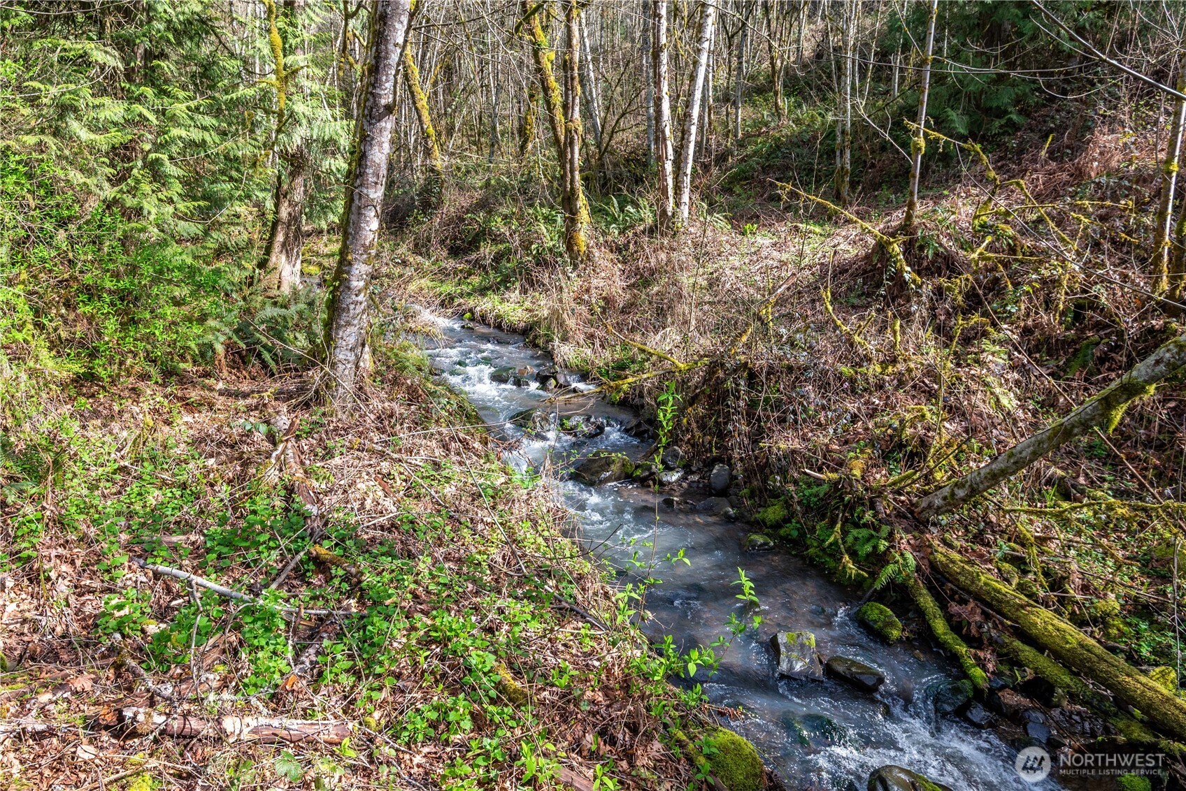 324 Champion Road Kalama, WA 98625 - Photo 10 of 17