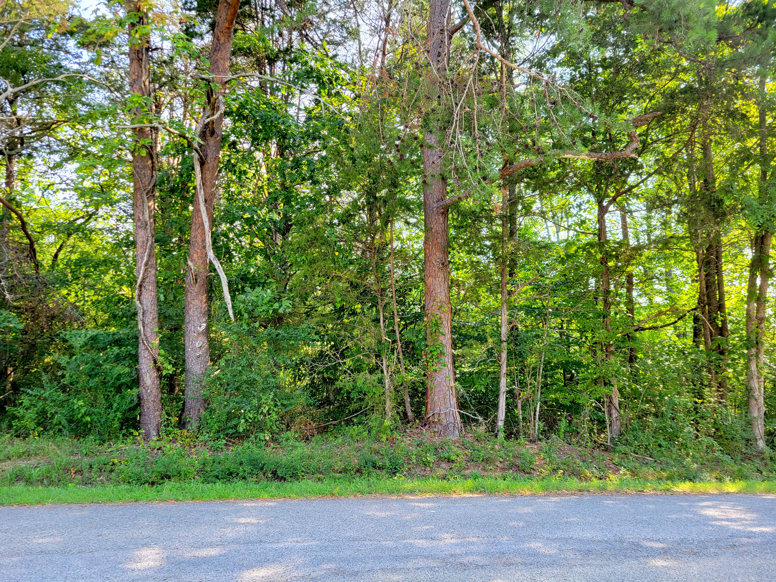 127 Riddle Road Dayton, TN 37321 - Photo 14 of 33 20240816_101515