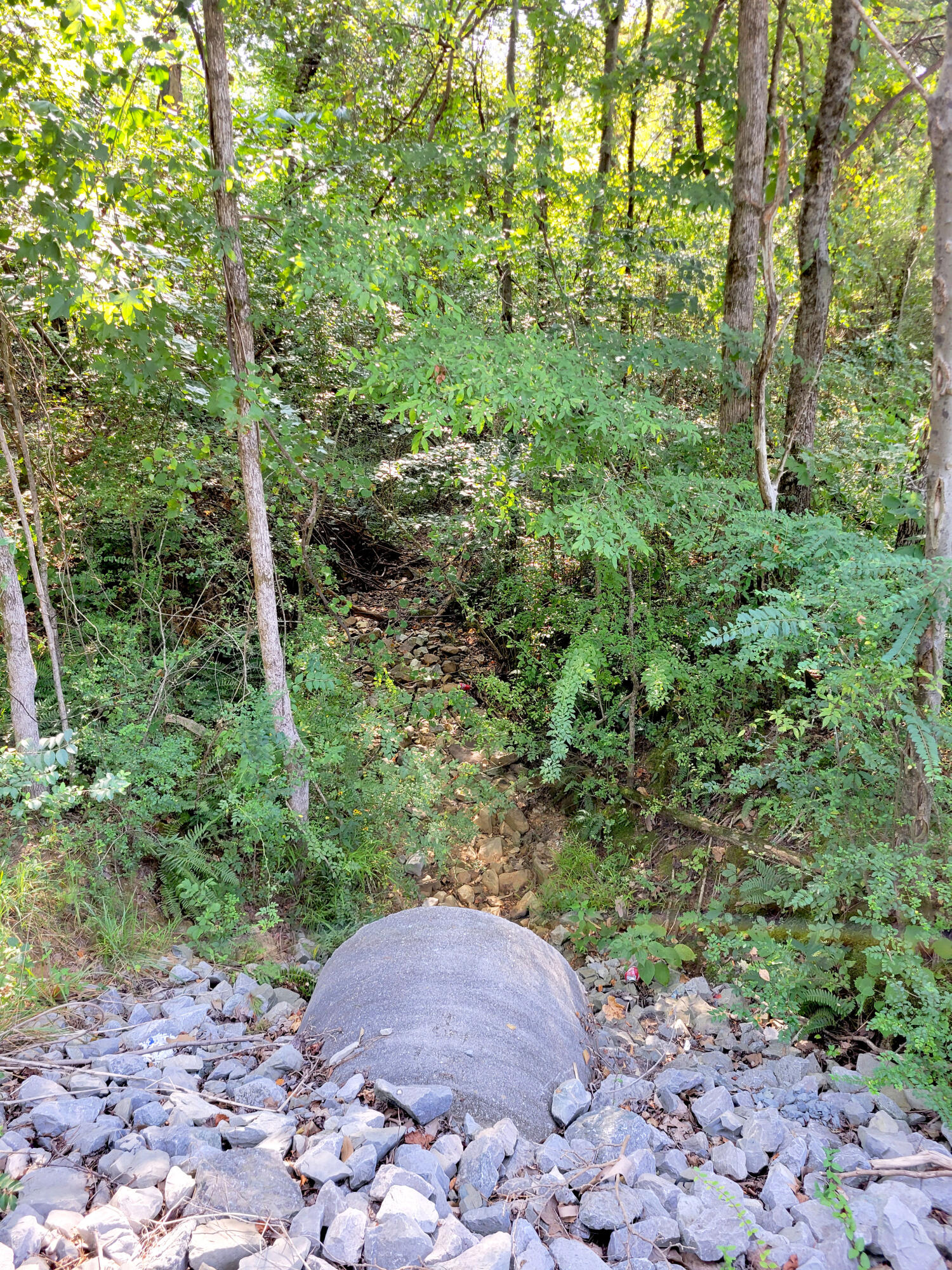 127 Riddle Road Dayton, TN 37321 - Photo 15 of 33 20240816_101634