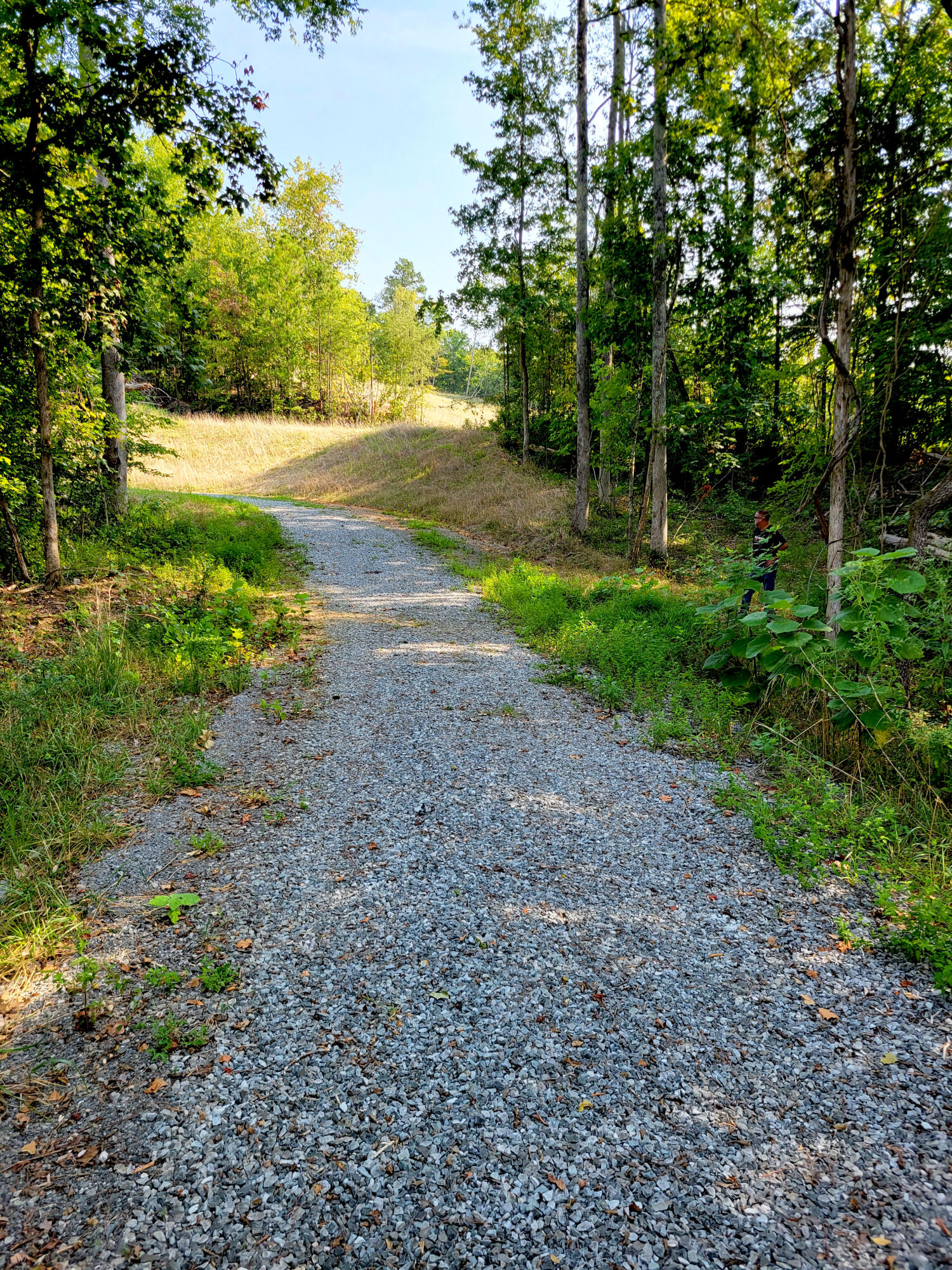 127 Riddle Road Dayton, TN 37321 - Photo 16 of 33 20240816_101704