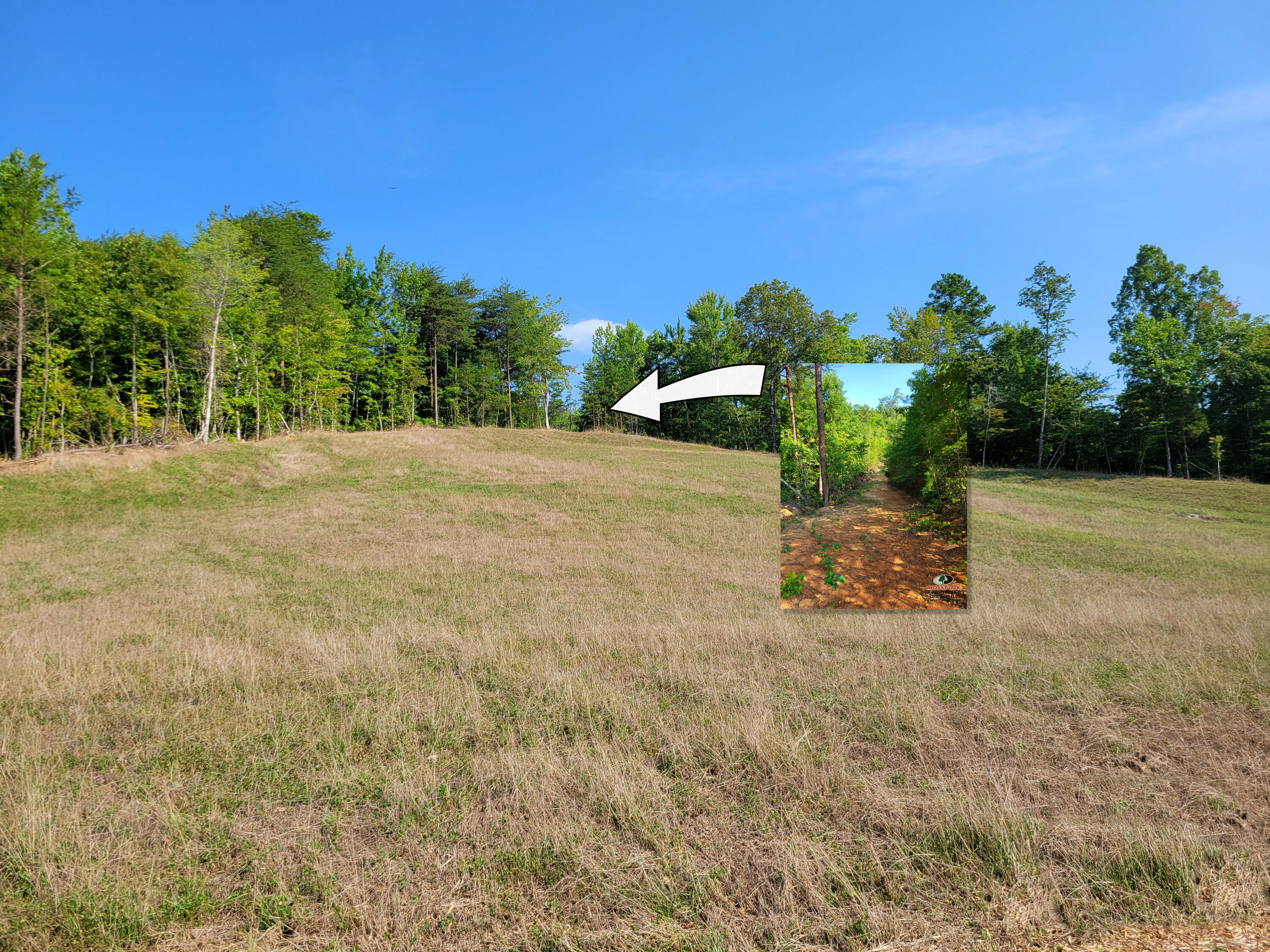 127 Riddle Road Dayton, TN 37321 - Photo 17 of 33 20240816_101933