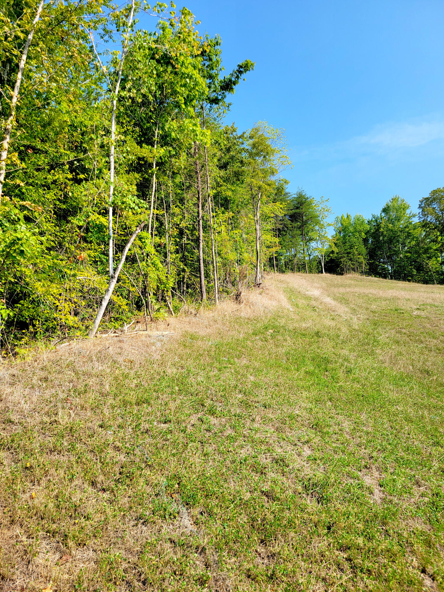 127 Riddle Road Dayton, TN 37321 - Photo 19 of 33 20240816_102219