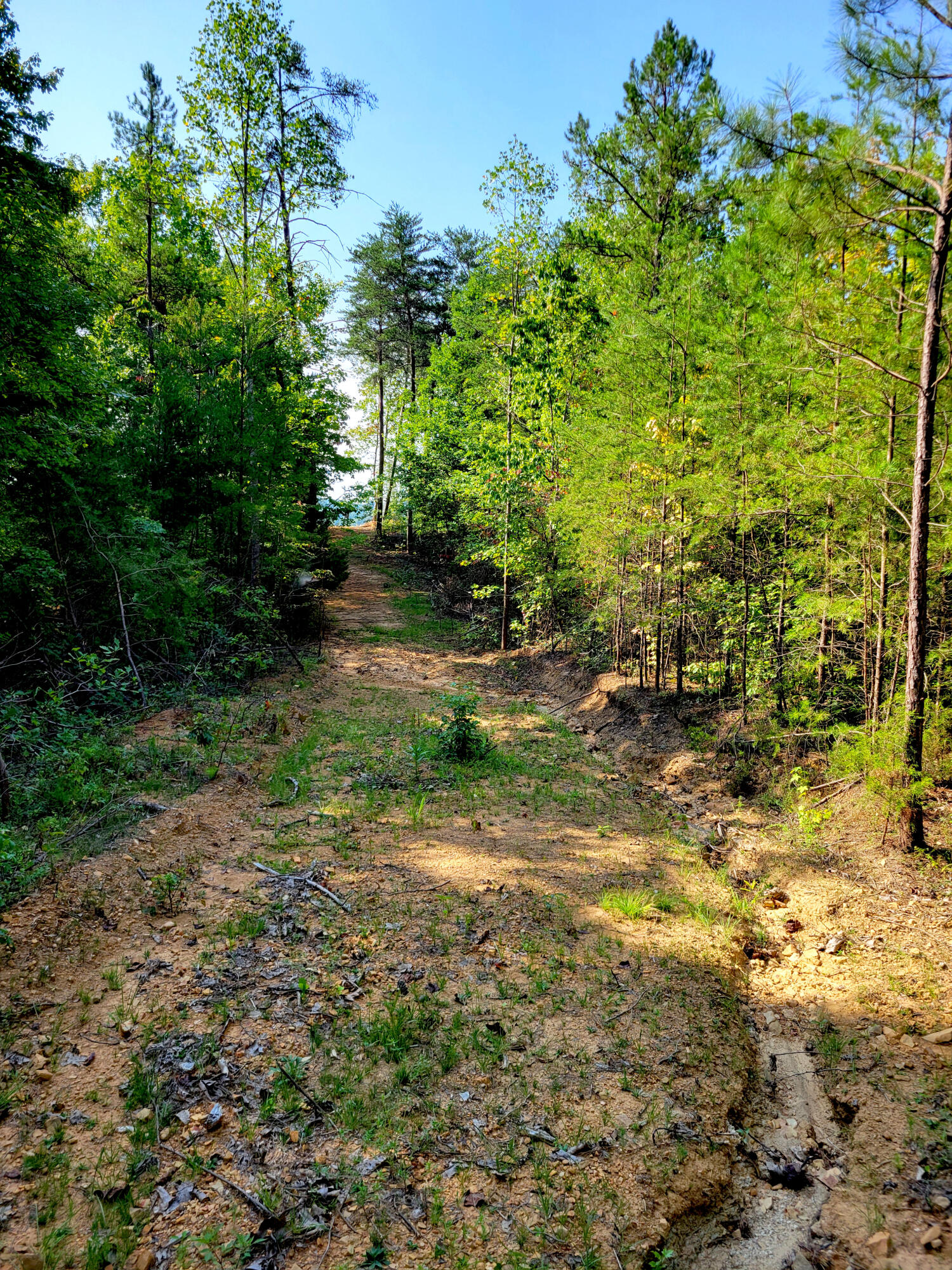 127 Riddle Road Dayton, TN 37321 - Photo 22 of 33 20240816_102711