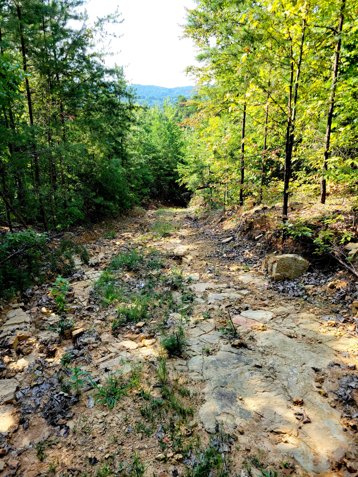 127 Riddle Road Dayton, TN 37321 - Photo 24 of 33 20240816_102846