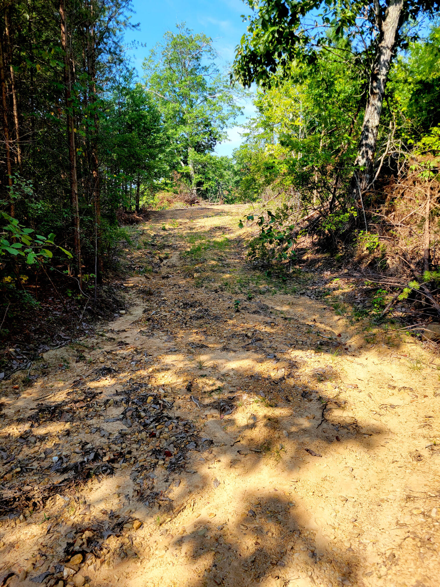 127 Riddle Road Dayton, TN 37321 - Photo 25 of 33 20240816_103000