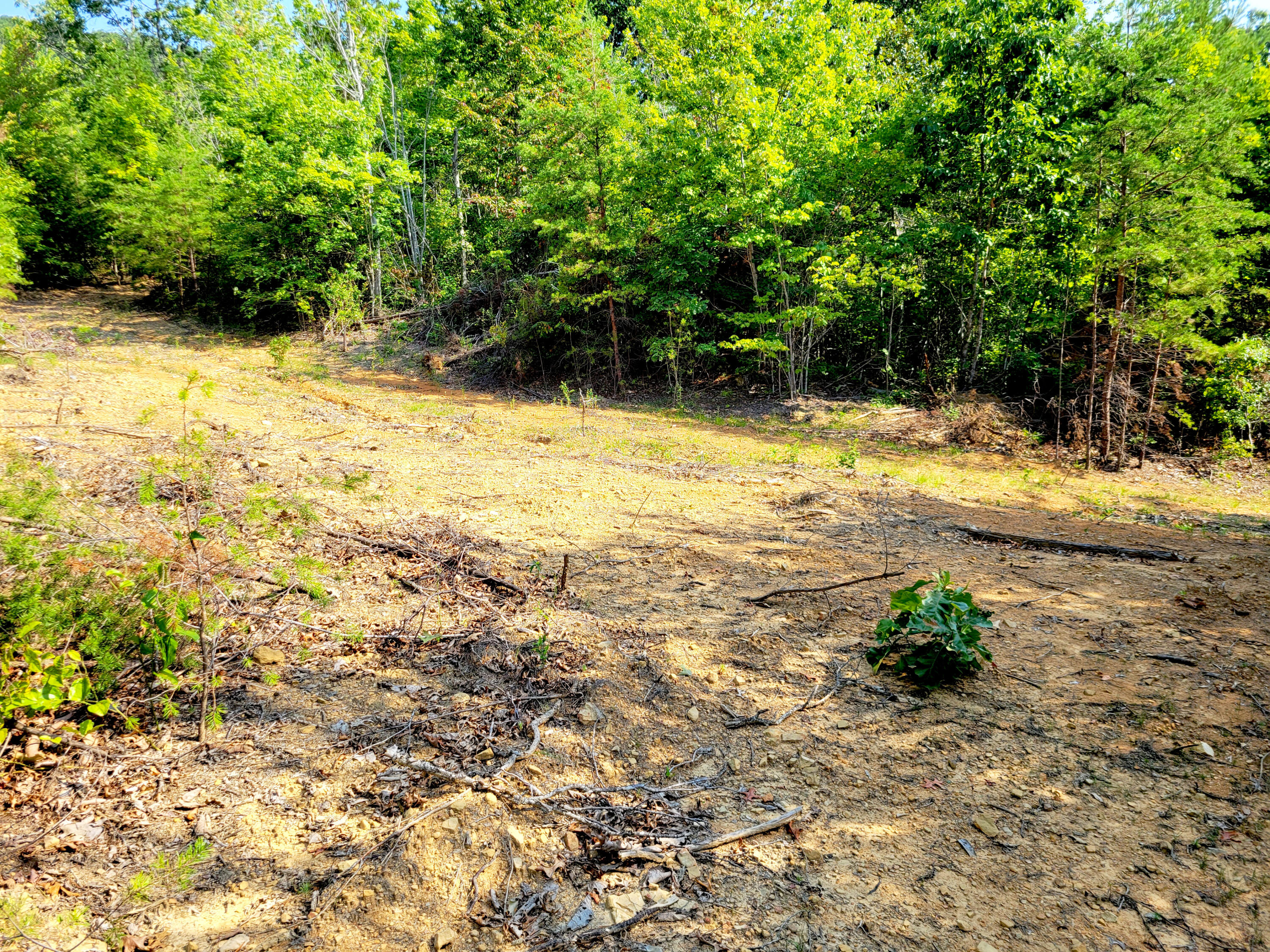 127 Riddle Road Dayton, TN 37321 - Photo 28 of 33 20240816_103103