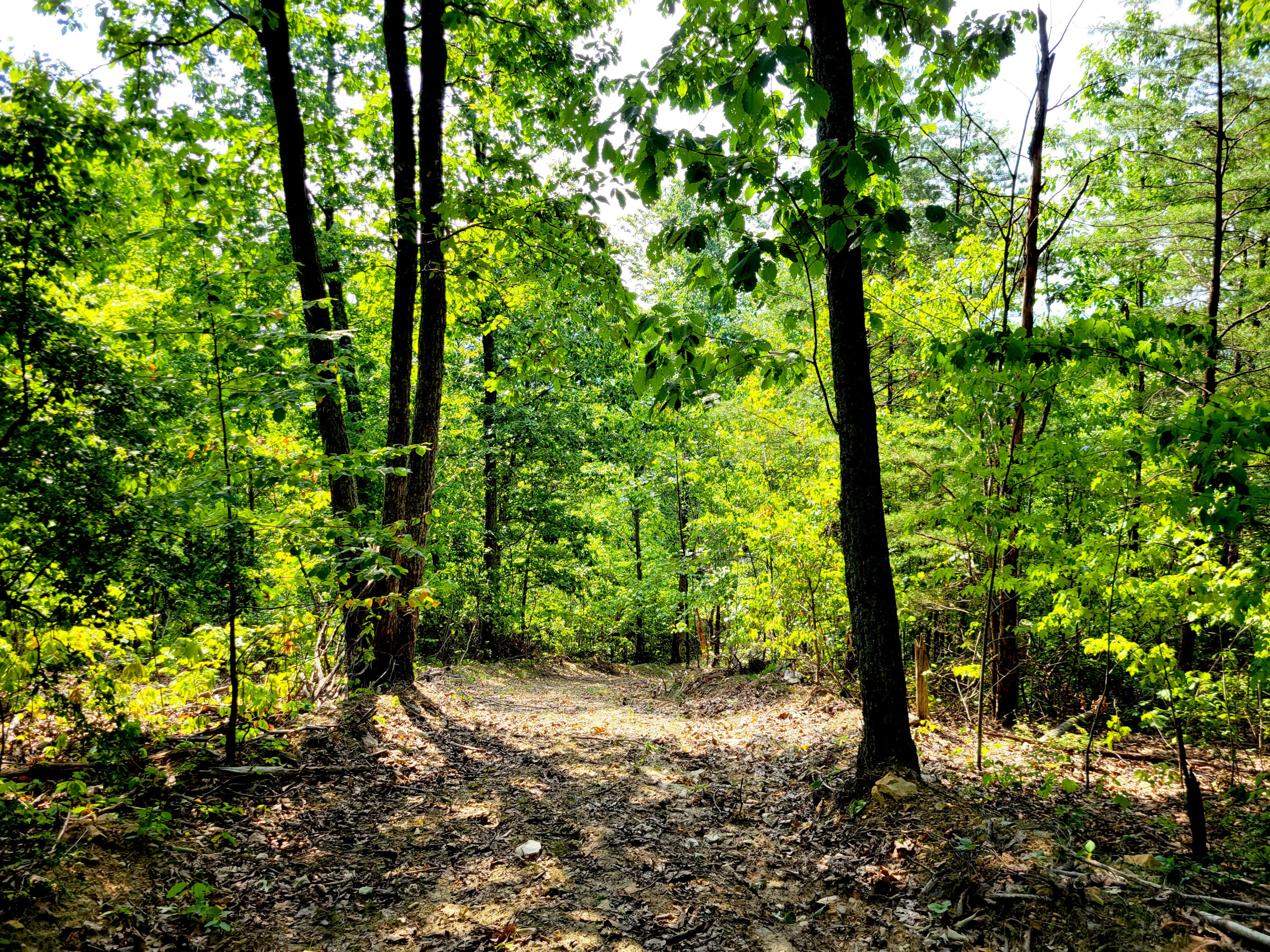 127 Riddle Road Dayton, TN 37321 - Photo 6 of 33 20240816_110002