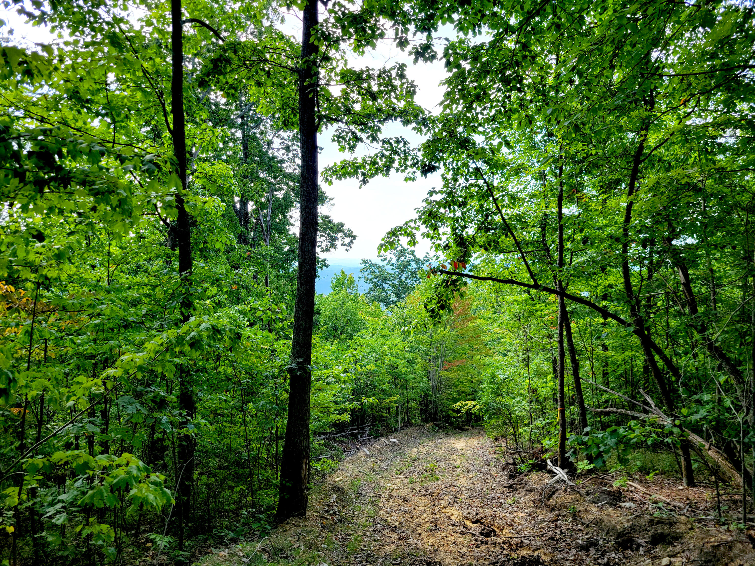 127 Riddle Road Dayton, TN 37321 - Photo 10 of 33 20240816_110102