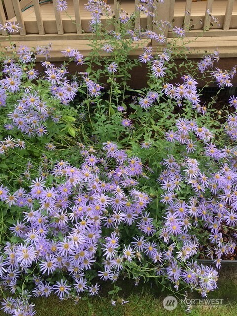 246-27 Walker Road Toledo, WA 98591 - Photo 33 of 39