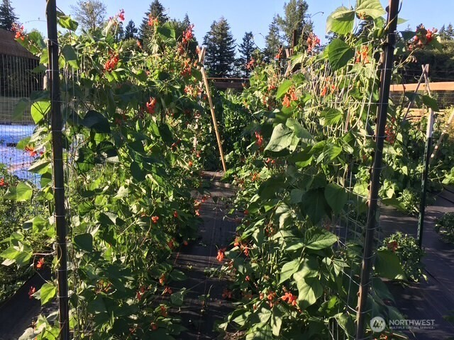 246-27 Walker Road Toledo, WA 98591 - Photo 35 of 39