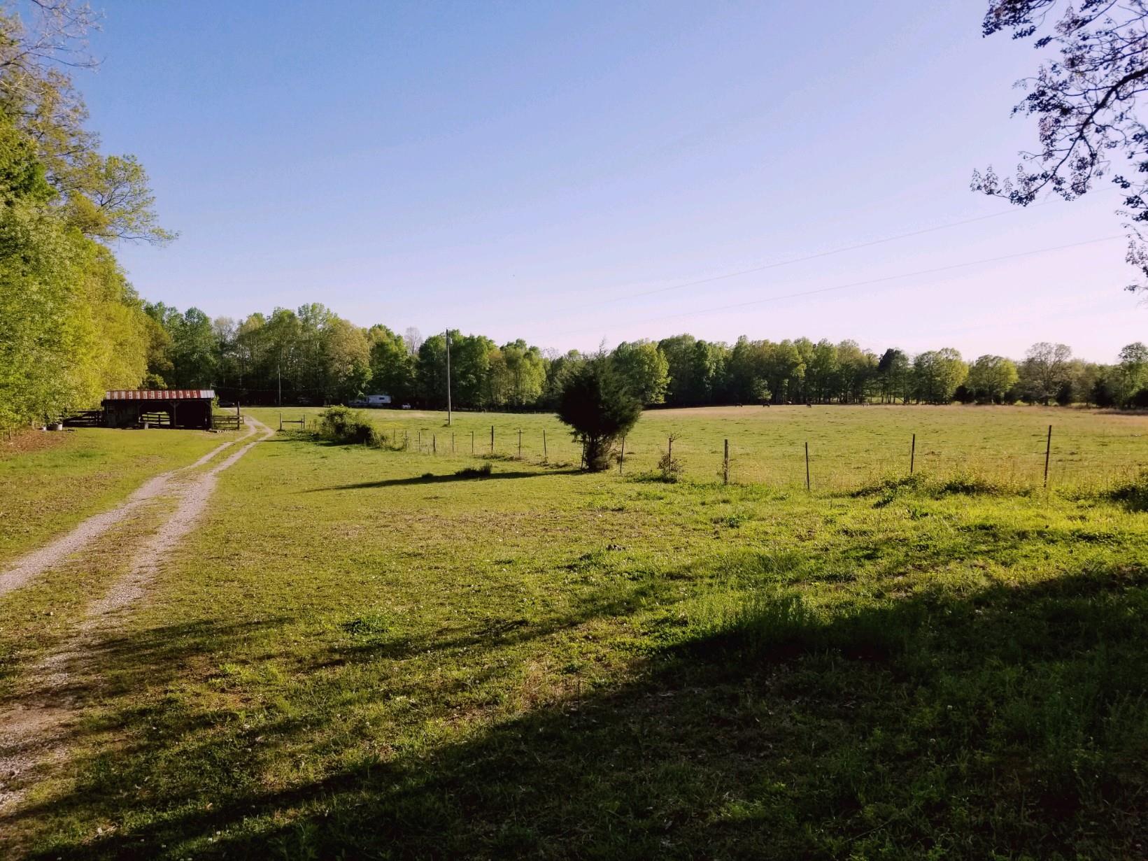 523 Rackley Road Goodspring, TN 38460 - Photo 2 of 6