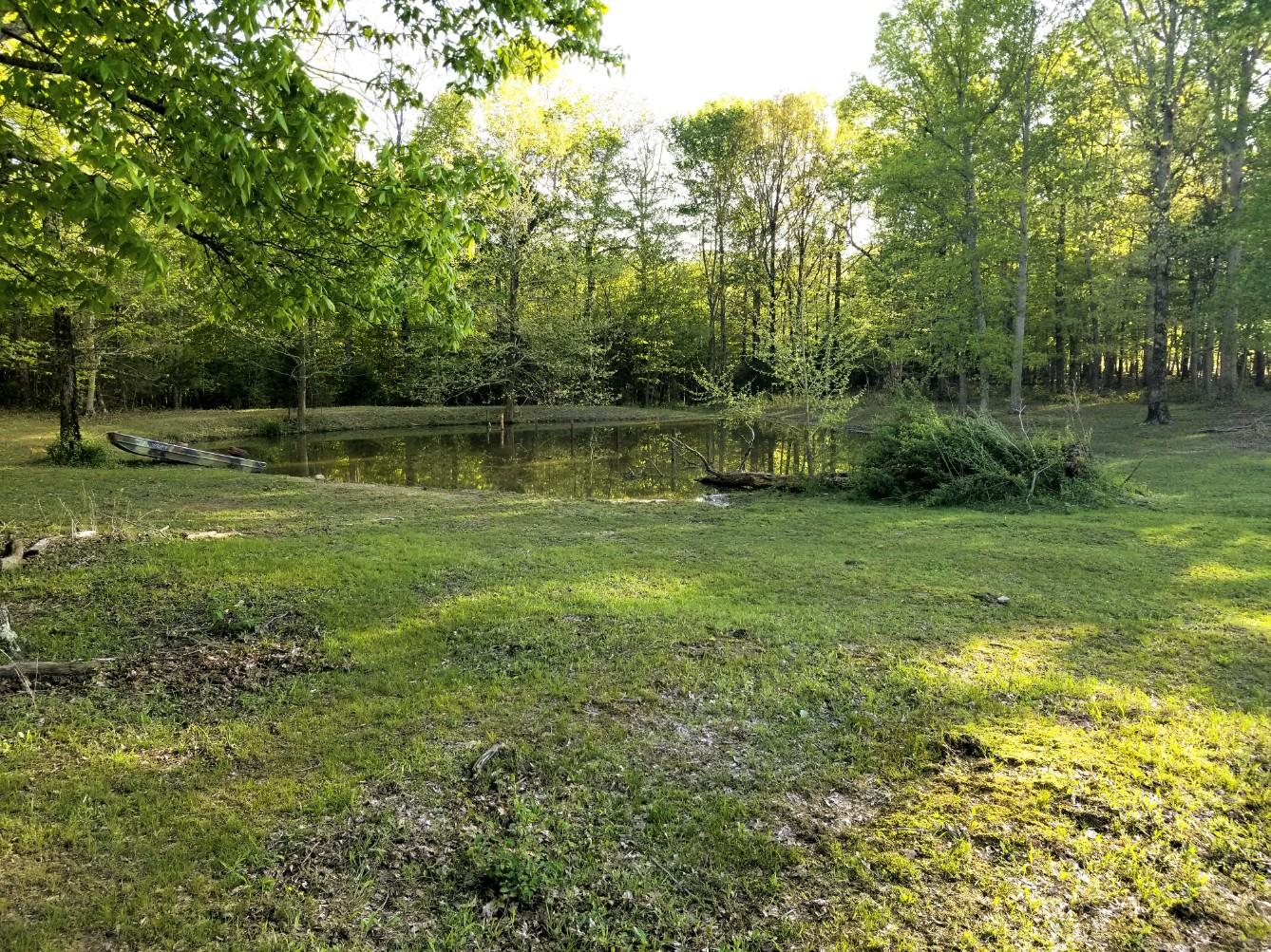 523 Rackley Road Goodspring, TN 38460 - Photo 5 of 6