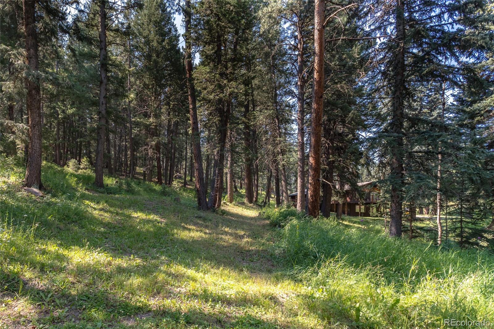 7664 Rossman Gulch Road Morrison, CO 80465 - Photo 5 of 38 Gallery Image 5