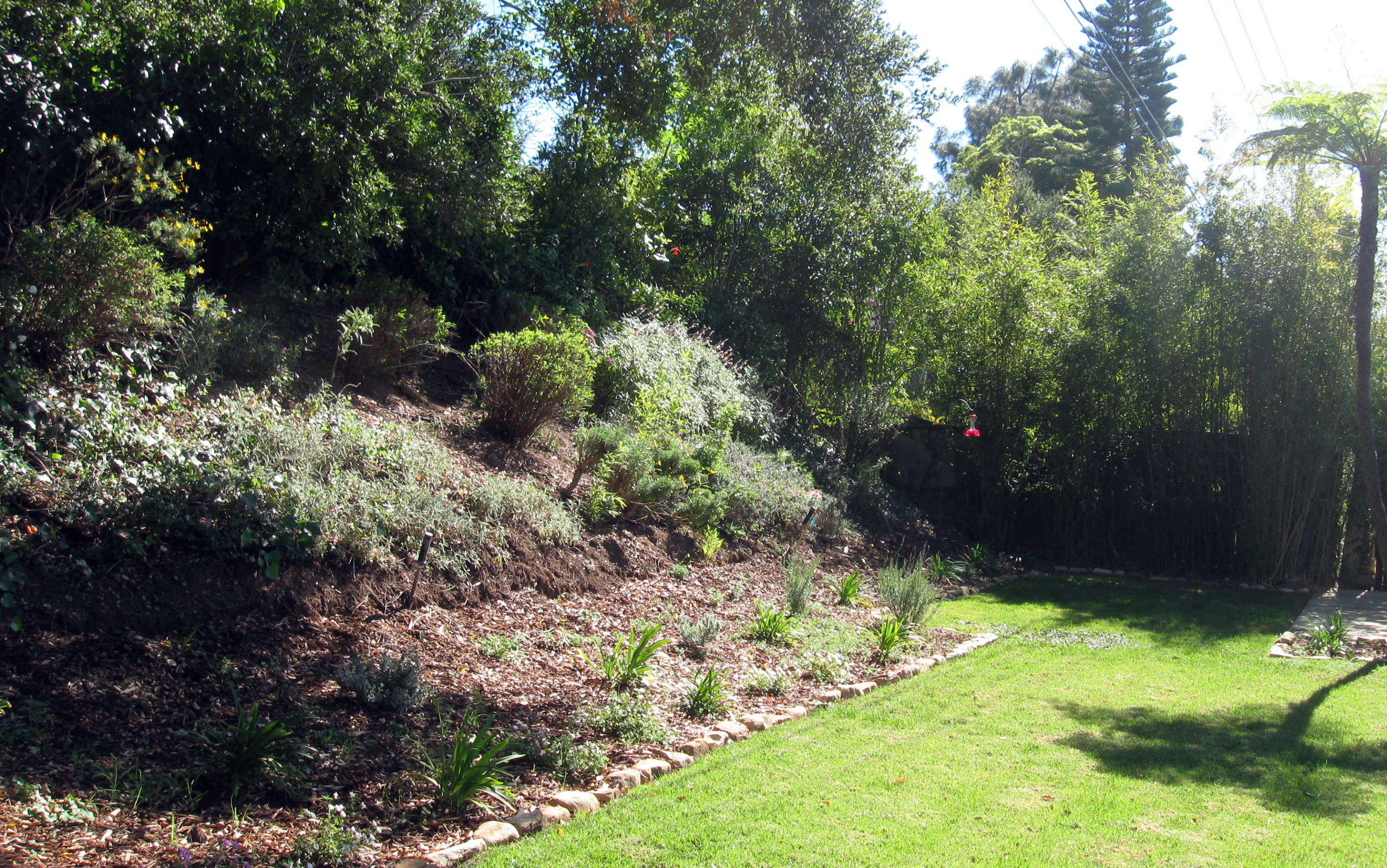 740 Willowglen Road Santa Barbara, CA 93105 - Photo 4 of 12 Serene private garden