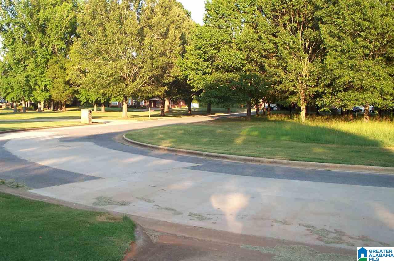 1910 Pleasant Ridge Circle Sylacauga, AL 35150 - Photo 4 of 42