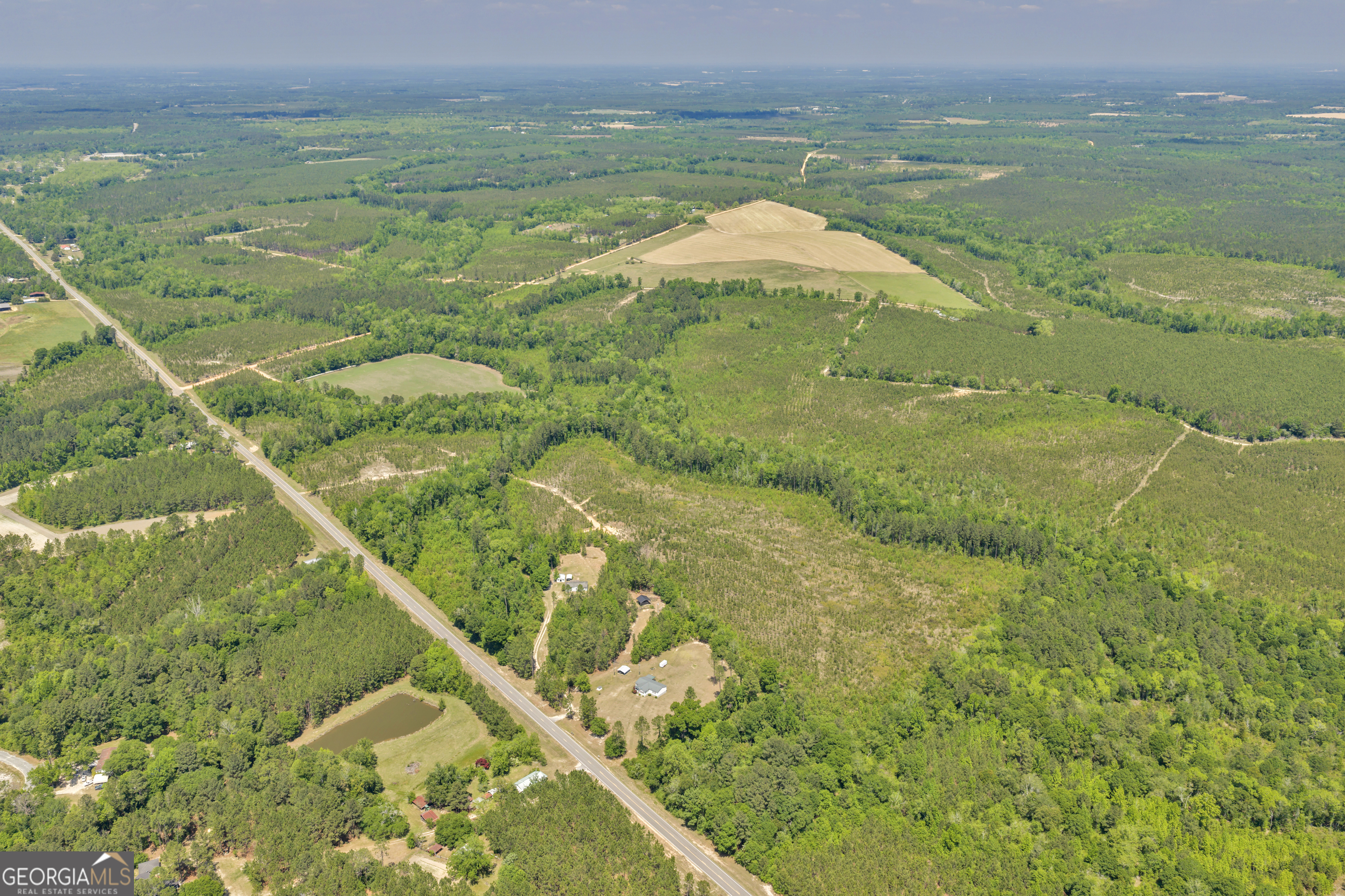 0 Snowhill Church Road Cadwell, GA 31009 - Photo 11 of 12