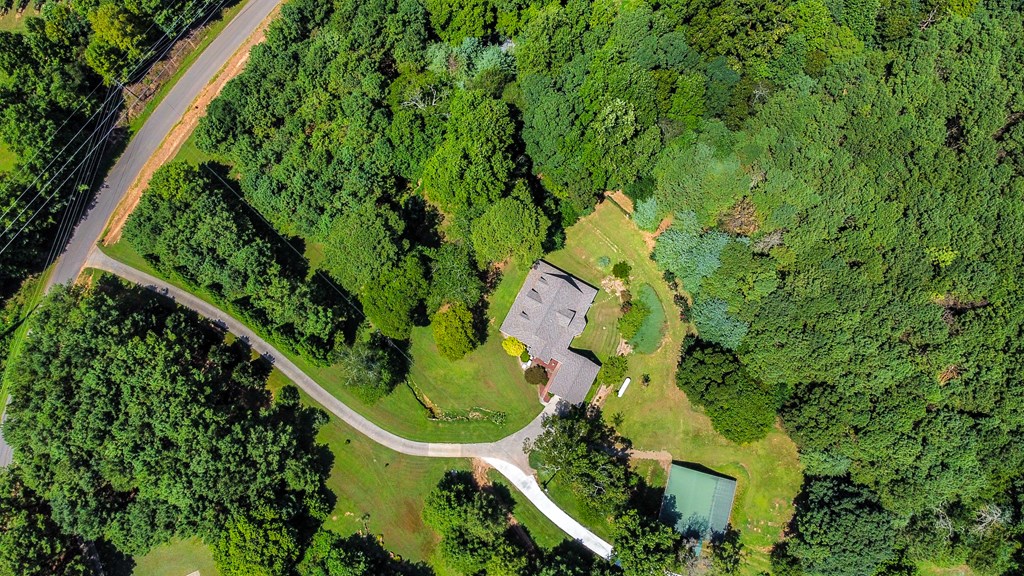 2751 Knight Road Ellijay, GA 30540 - Photo 3 of 58 Gallery Image 3