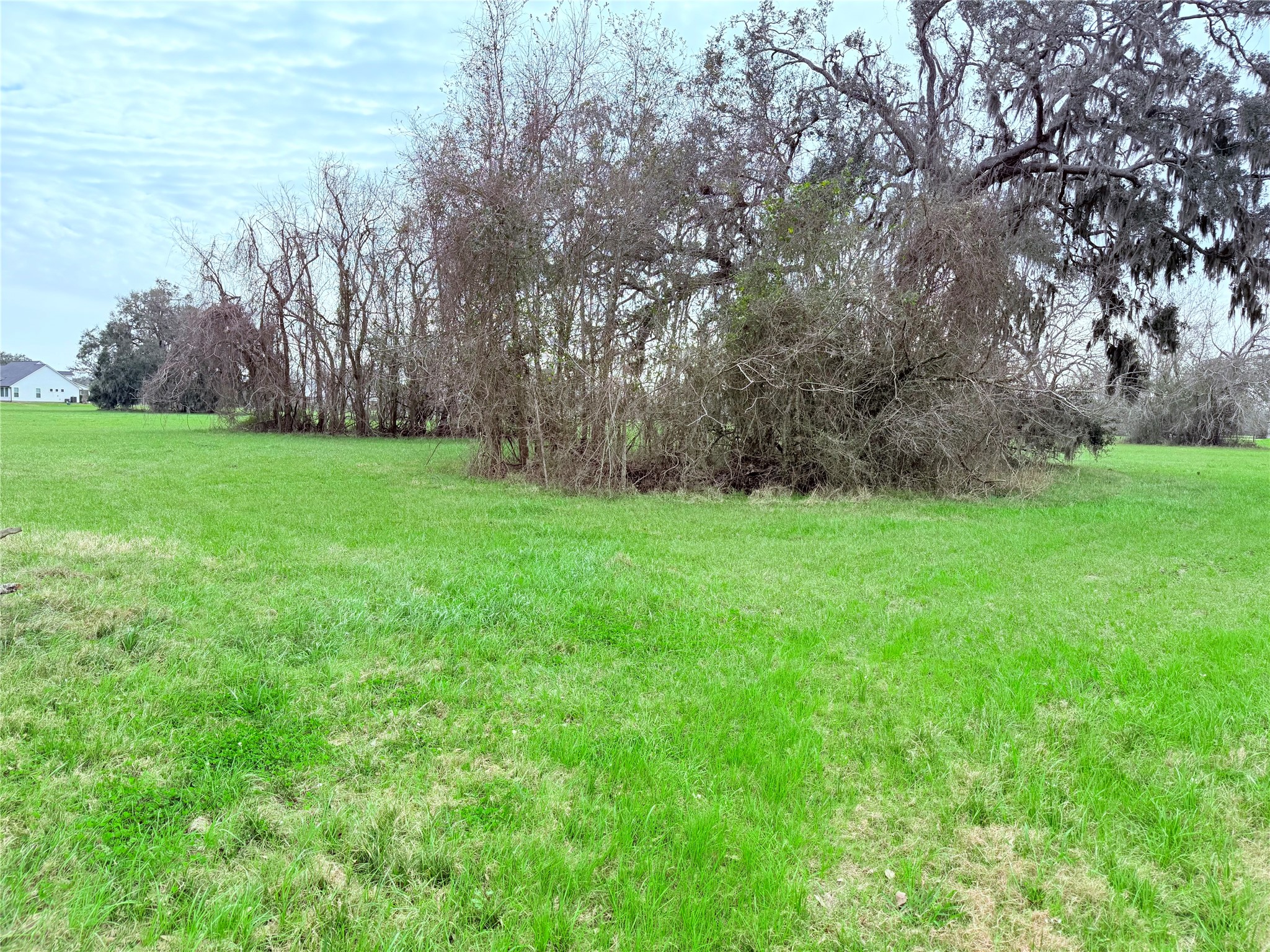1370 Broken Arrow Trail Angleton, TX 77515 - Photo 11 of 13 a view of a garden