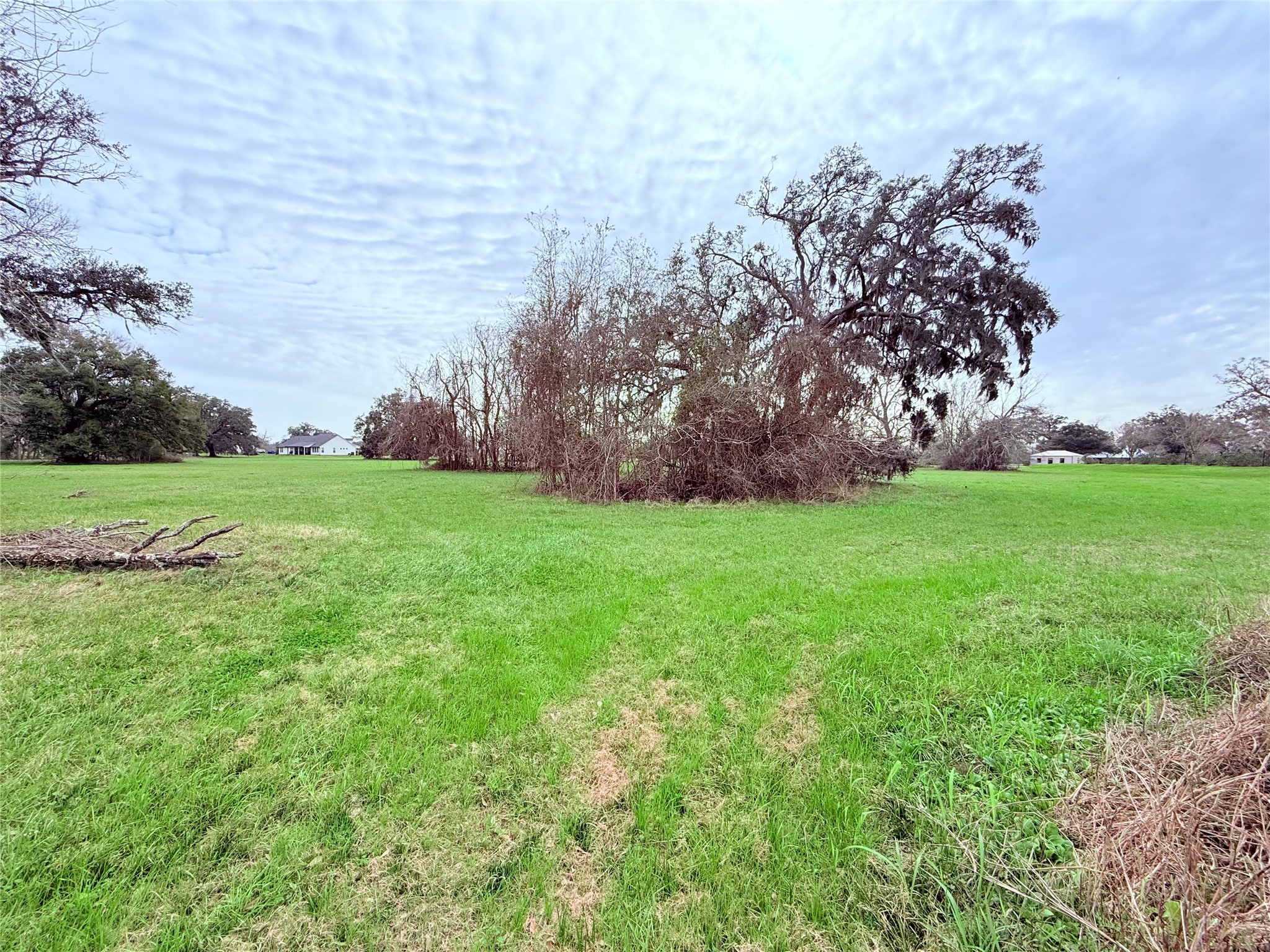 1370 Broken Arrow Trail Angleton, TX 77515 - Photo 12 of 13 a view of a trees with a big yard
