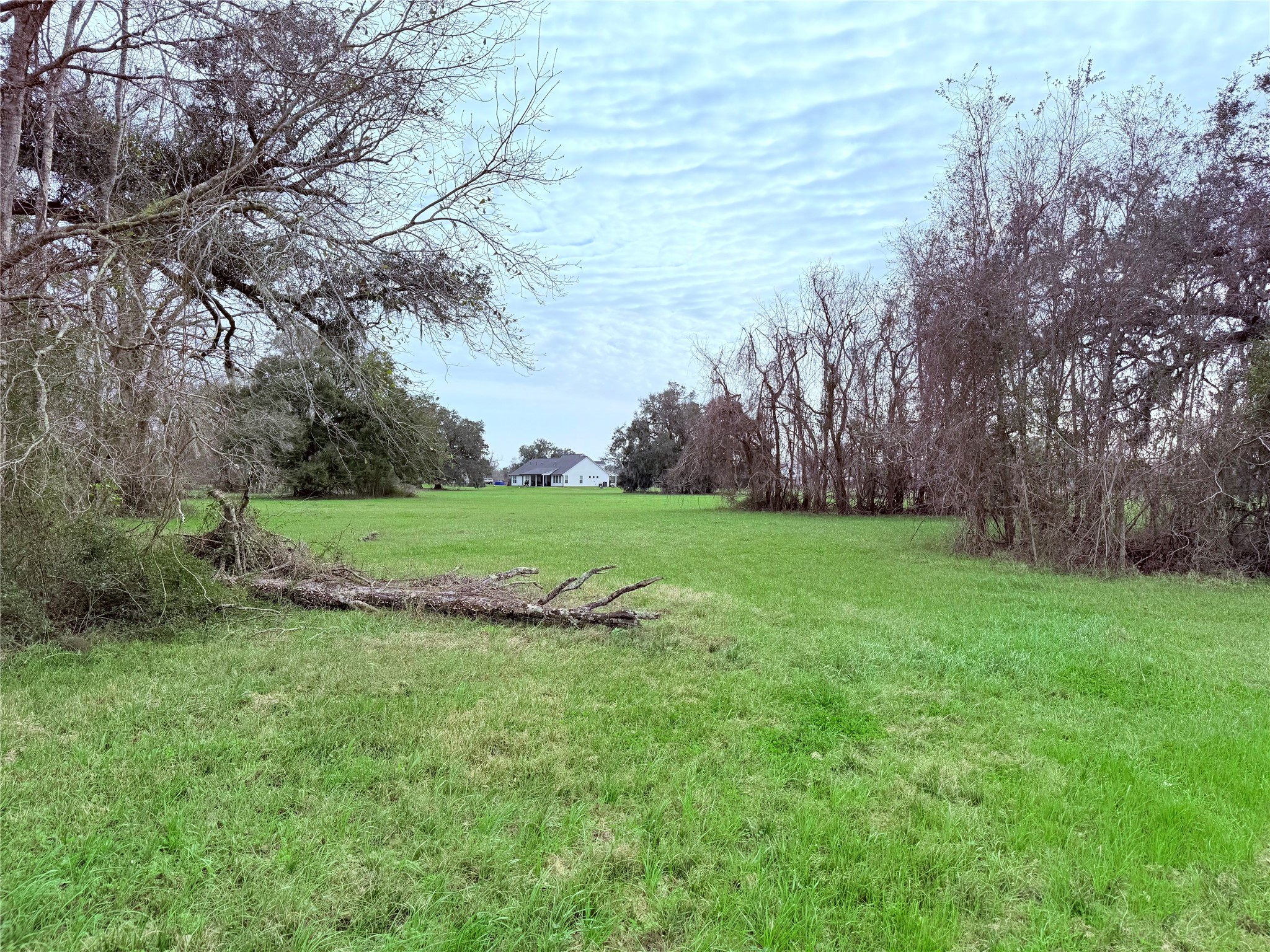 1370 Broken Arrow Trail Angleton, TX 77515 - Photo 4 of 13 a view of a garden with large trees