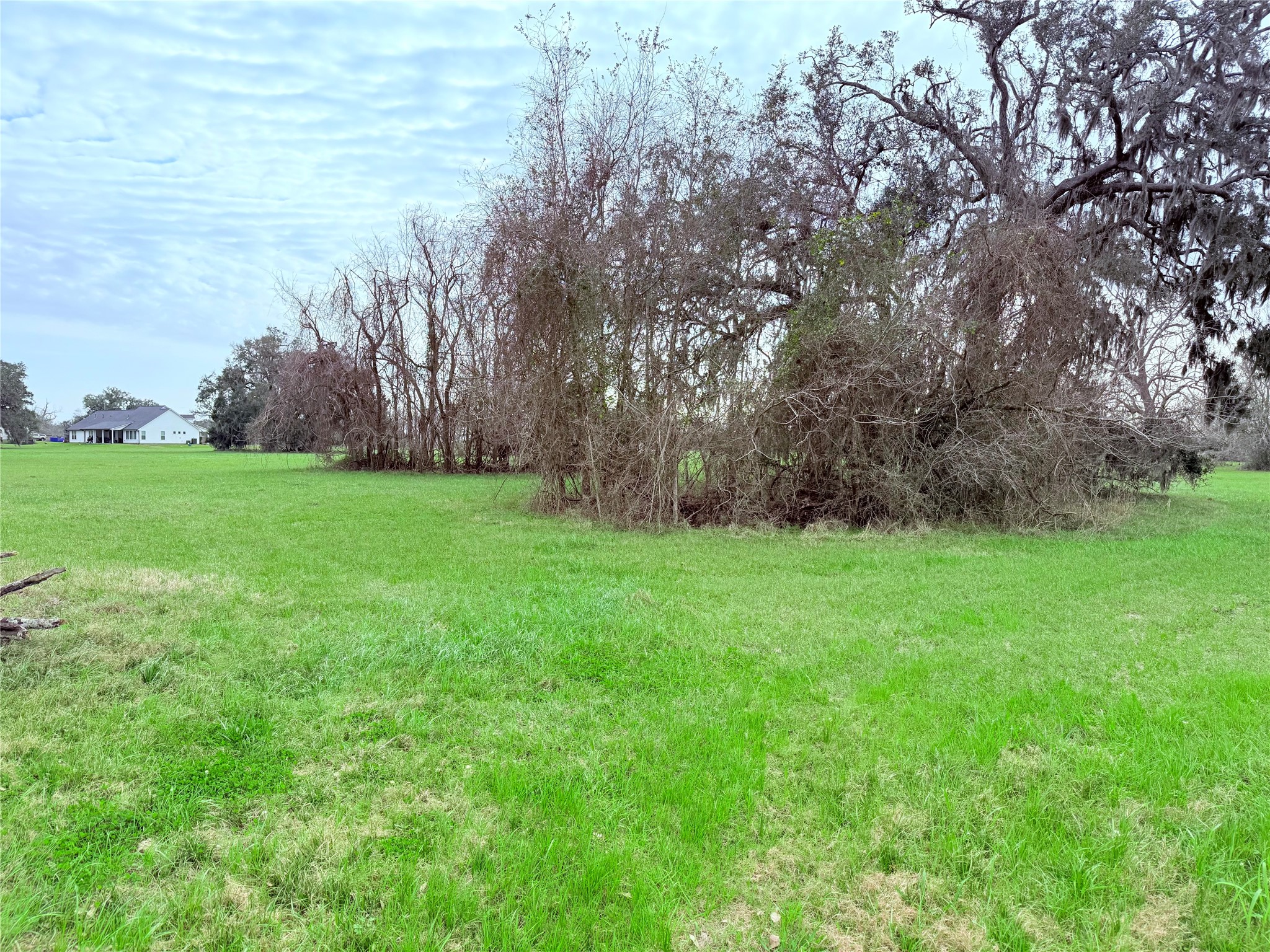 1370 Broken Arrow Trail Angleton, TX 77515 - Photo 5 of 13 a view of a yard with a tree