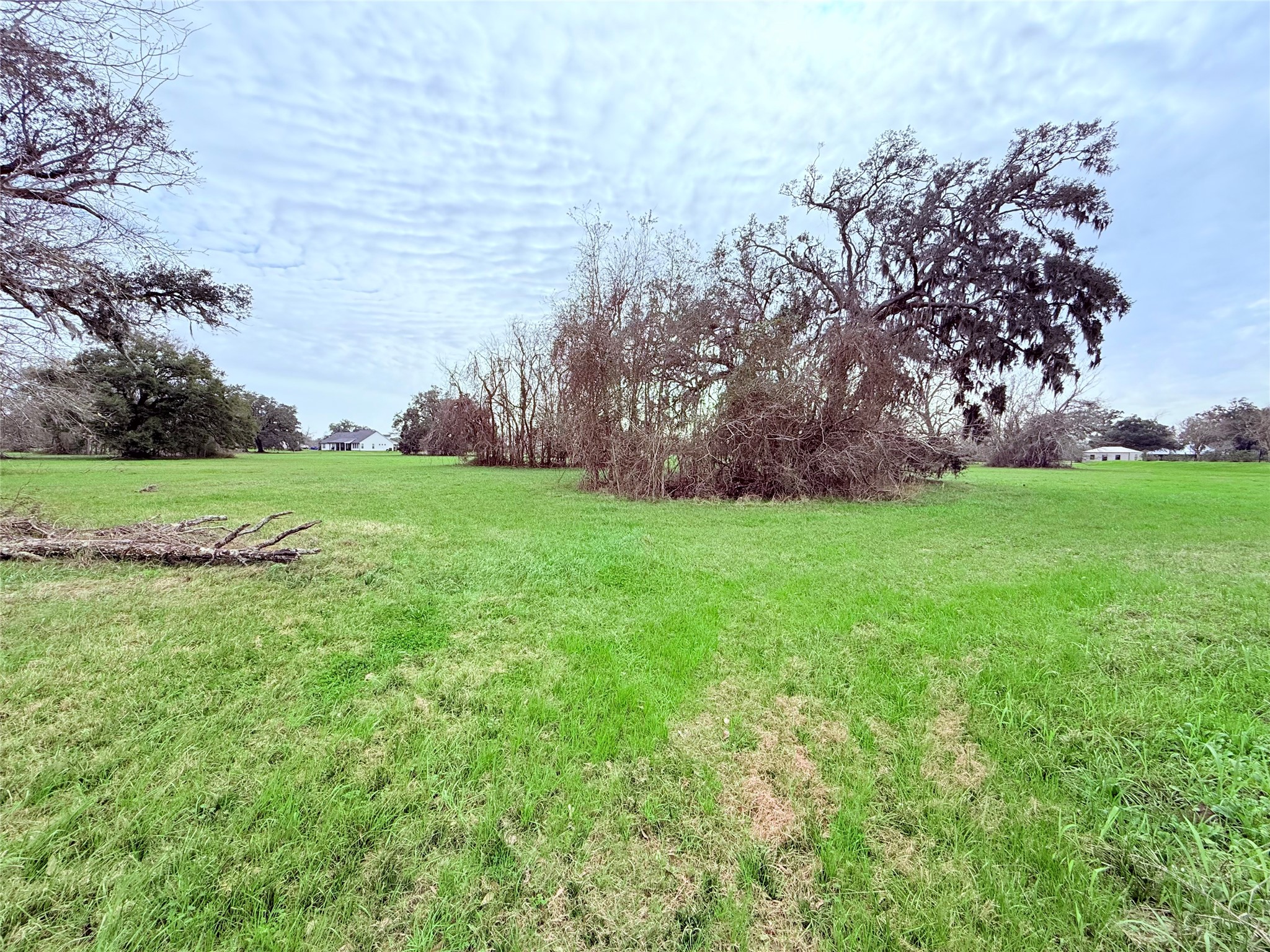 1370 Broken Arrow Trail Angleton, TX 77515 - Photo 6 of 13 a view of a field with a tree
