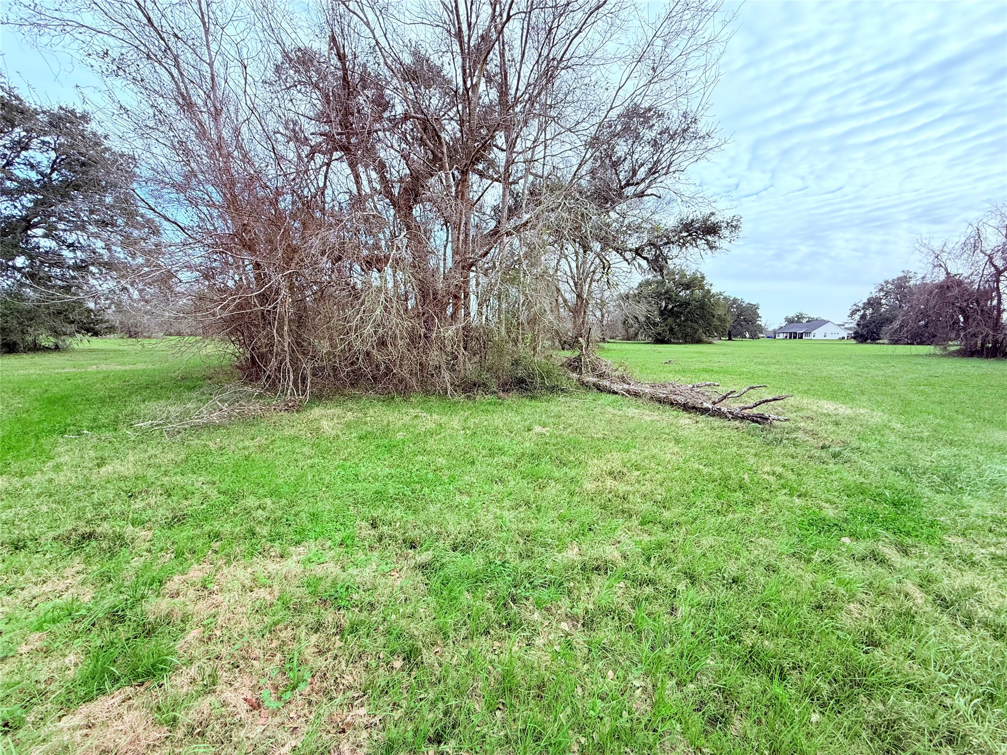 1370 Broken Arrow Trail Angleton, TX 77515 - Photo 7 of 13 a view of a field of grass and trees