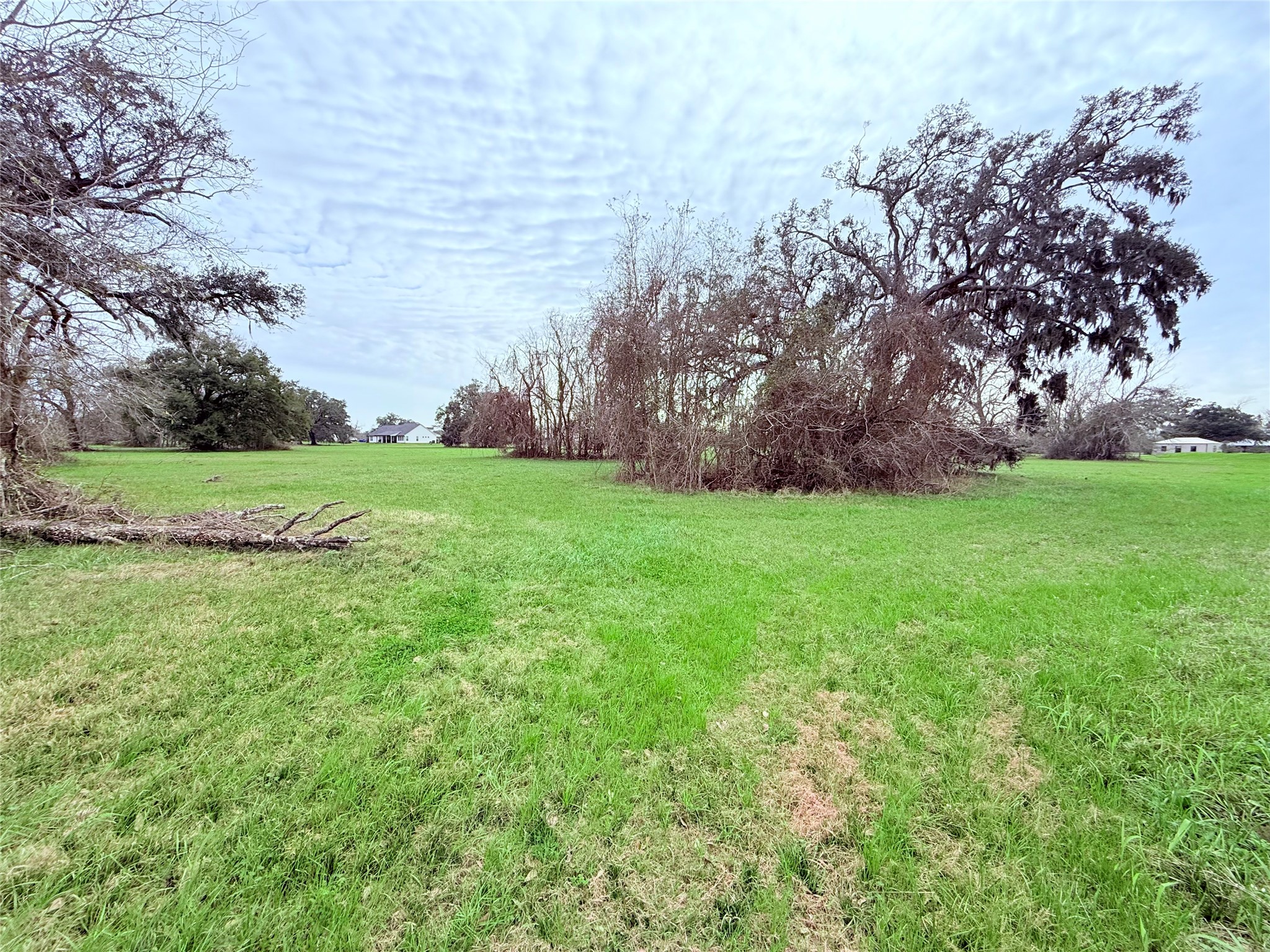 1370 Broken Arrow Trail Angleton, TX 77515 - Photo 8 of 13 a view of a field with a tree