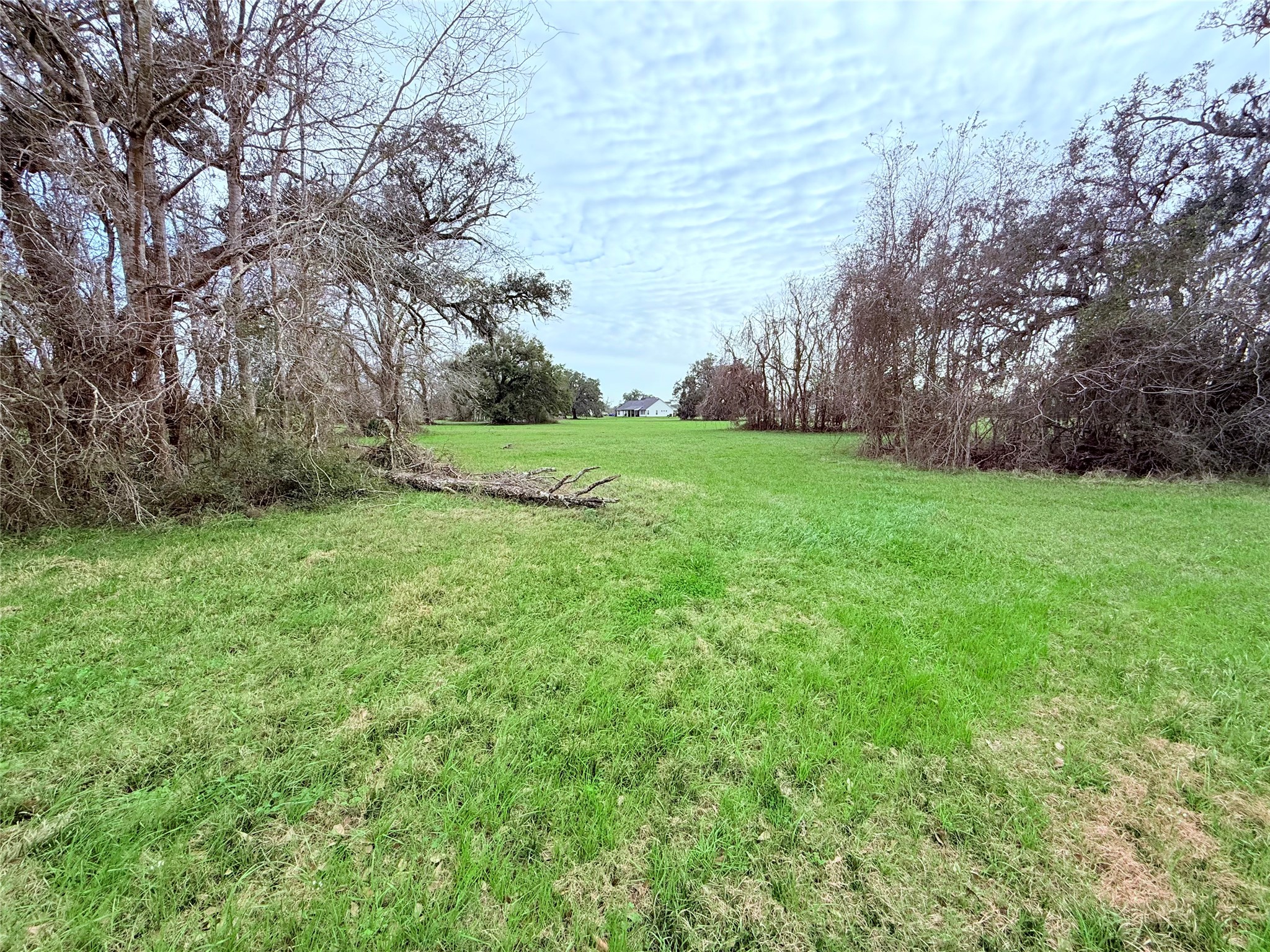 1370 Broken Arrow Trail Angleton, TX 77515 - Photo 10 of 13 a view of grassy field with trees