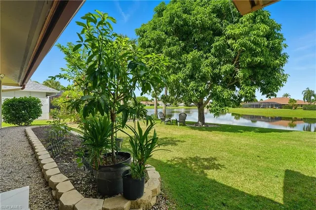 a view of a garden with plants and large trees