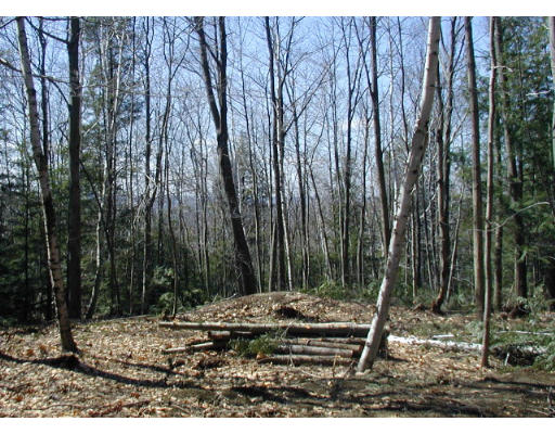 Lot B Willcutt Road Chesterfield, MA 01012 - Photo 3 of 5