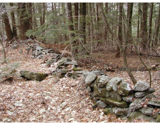 Lot B Willcutt Road Chesterfield, MA 01012 - Photo 4 of 5