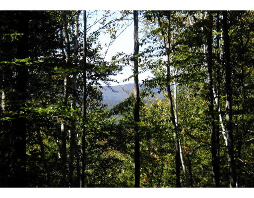 Lot B Willcutt Road Chesterfield, MA 01012 - Photo 5 of 5