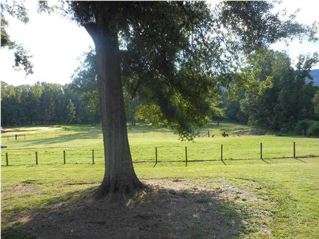 1018 Burnt Mill Road Flintstone, GA 30725 - Photo 21 of 27 Additional Photo