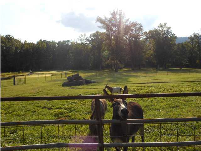 1018 Burnt Mill Road Flintstone, GA 30725 - Photo 27 of 27 Additional Photo