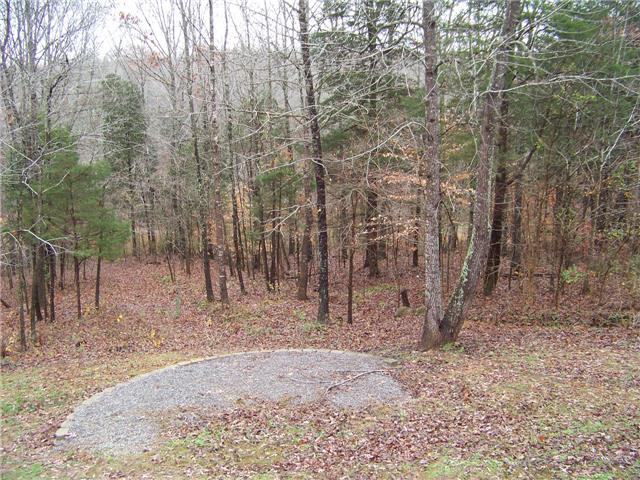 3244 Backridge Road Woodlawn, TN 37191 - Photo 14 of 16 HOPE YOU DON'T MIND VISITS FROM DEER. THERE'S PLENTY OF THEM OUT HERE.