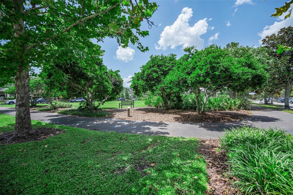 3436 Lonzalo Way New Port Richey, FL 34655 - Photo 45 of 52