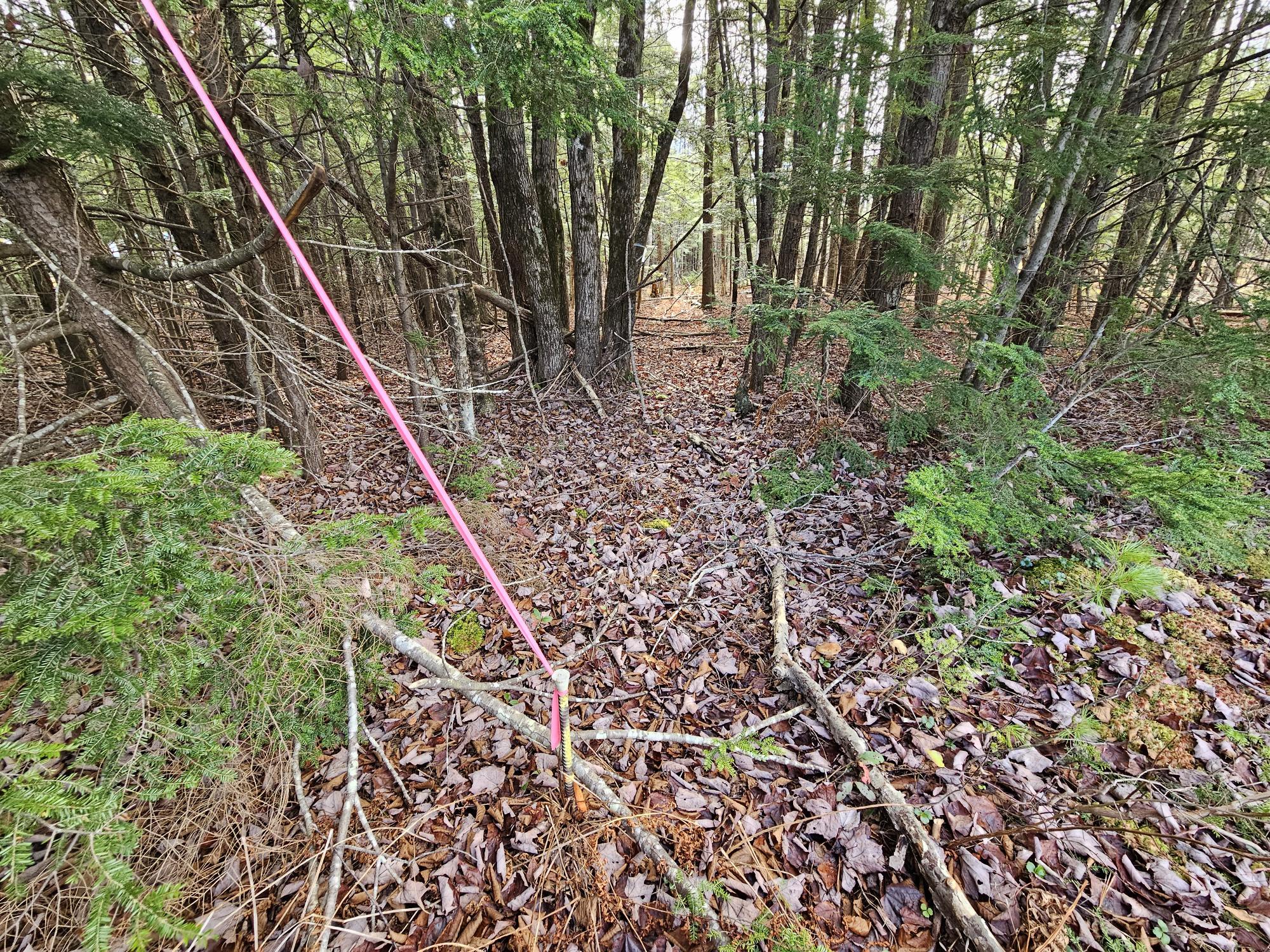 11 Old Alfred Road Waterboro, ME 04087 - Photo 30 of 38 20231103_110757