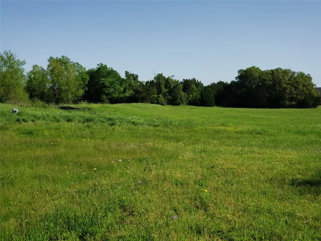 a view of field with trees in the background