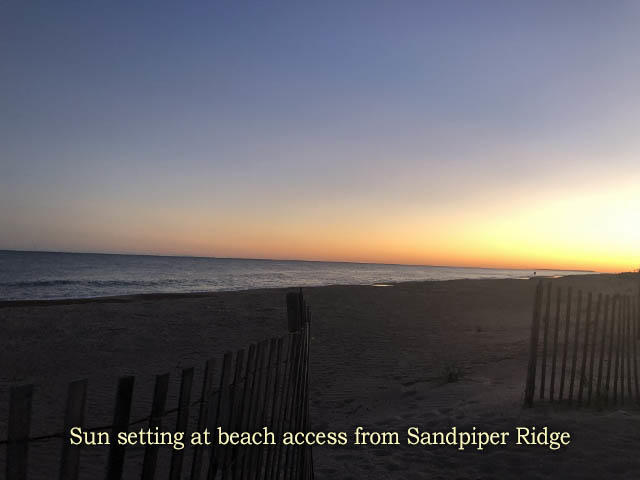 708 Sandpiper Road Edisto Island, SC 29438 - Photo 5 of 14 4