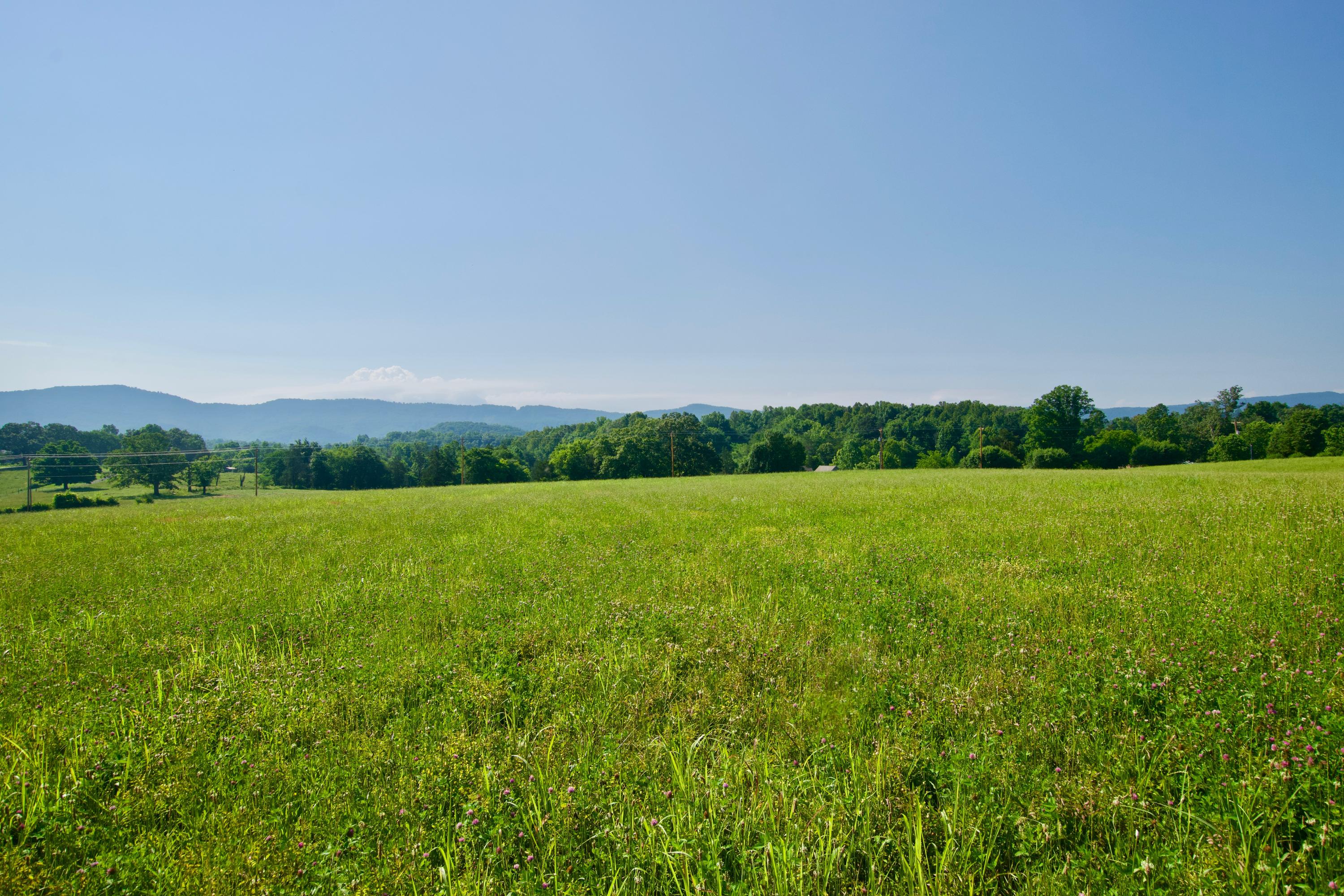 Lot 4 Chilhowee View Road Maryville, TN 37803 - Photo 1 of 5 DSC_0614