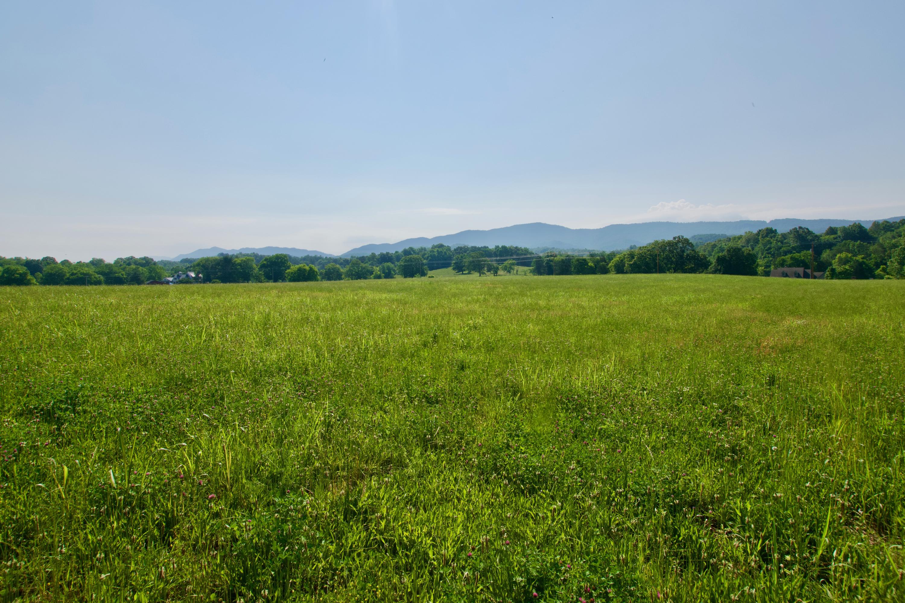 Lot 4 Chilhowee View Road Maryville, TN 37803 - Photo 3 of 5 DSC_0616
